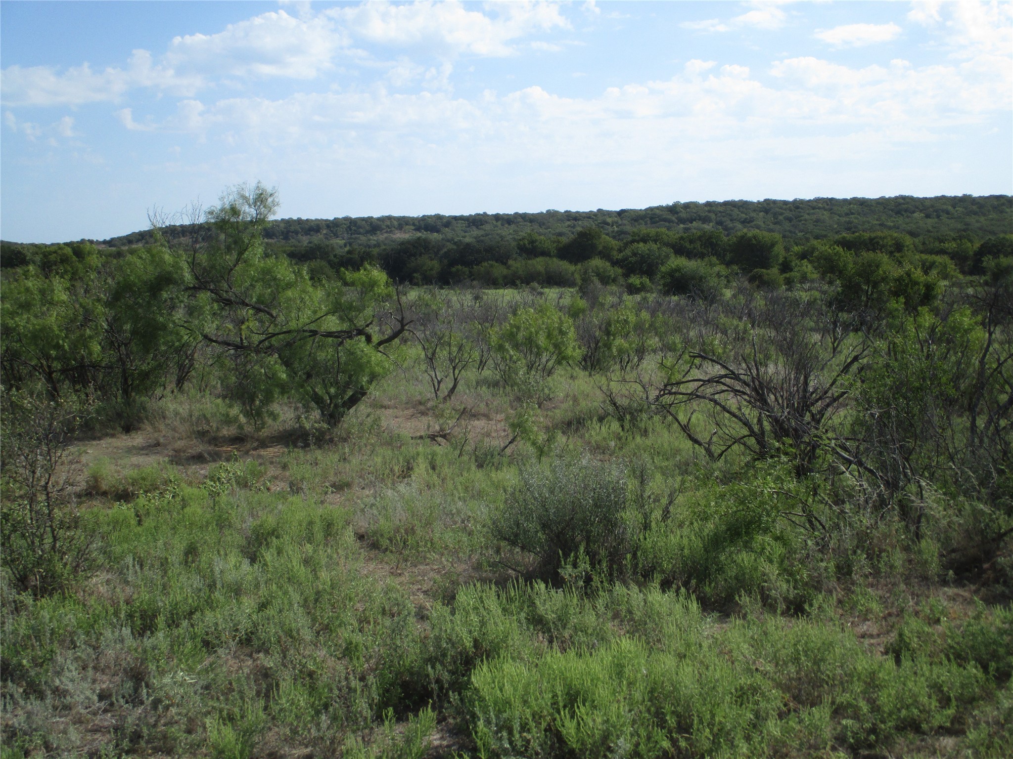 80 Ac Highway 16 Loving TX 76460