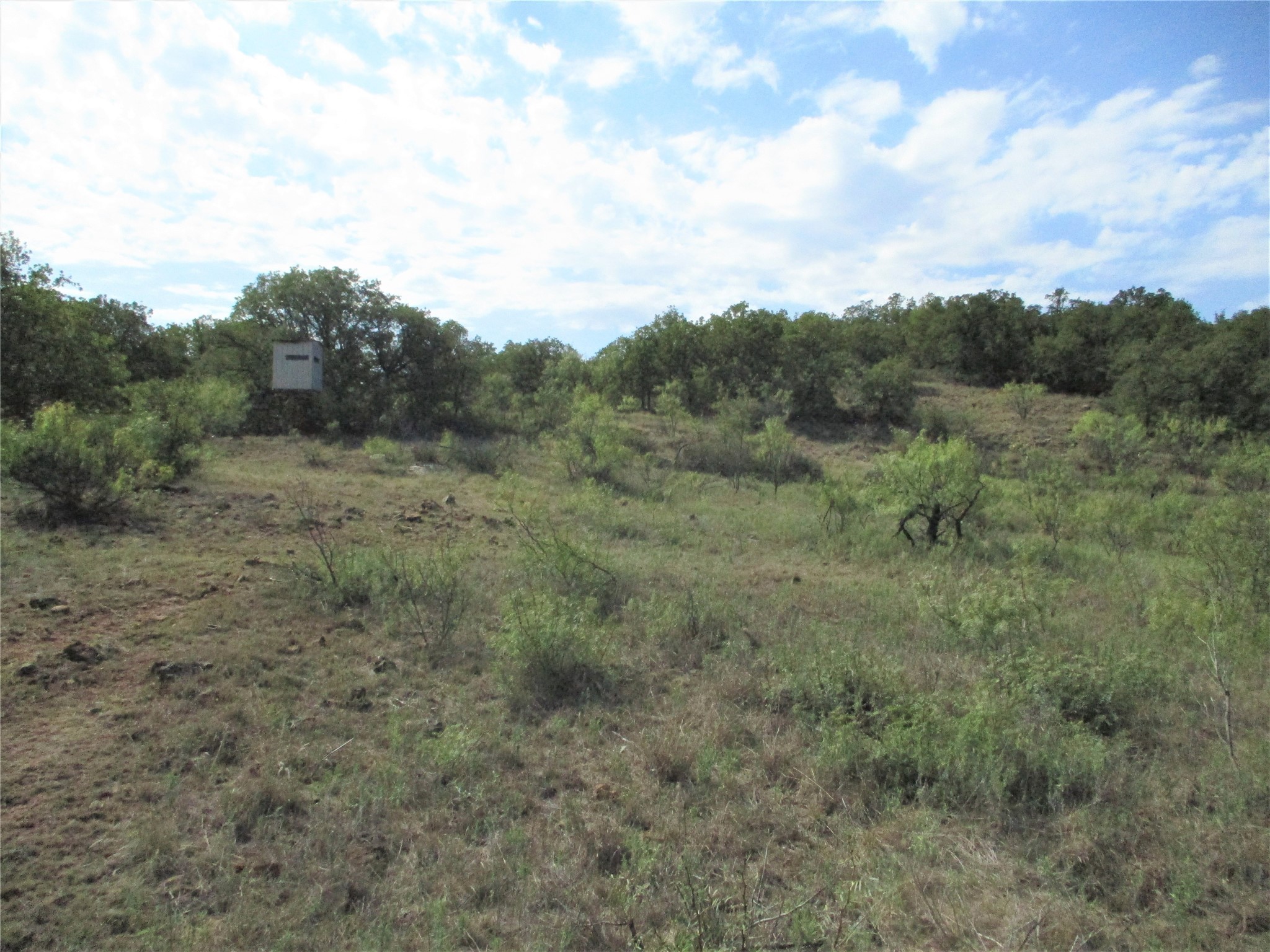 80 Ac Highway 16 Loving TX 76460