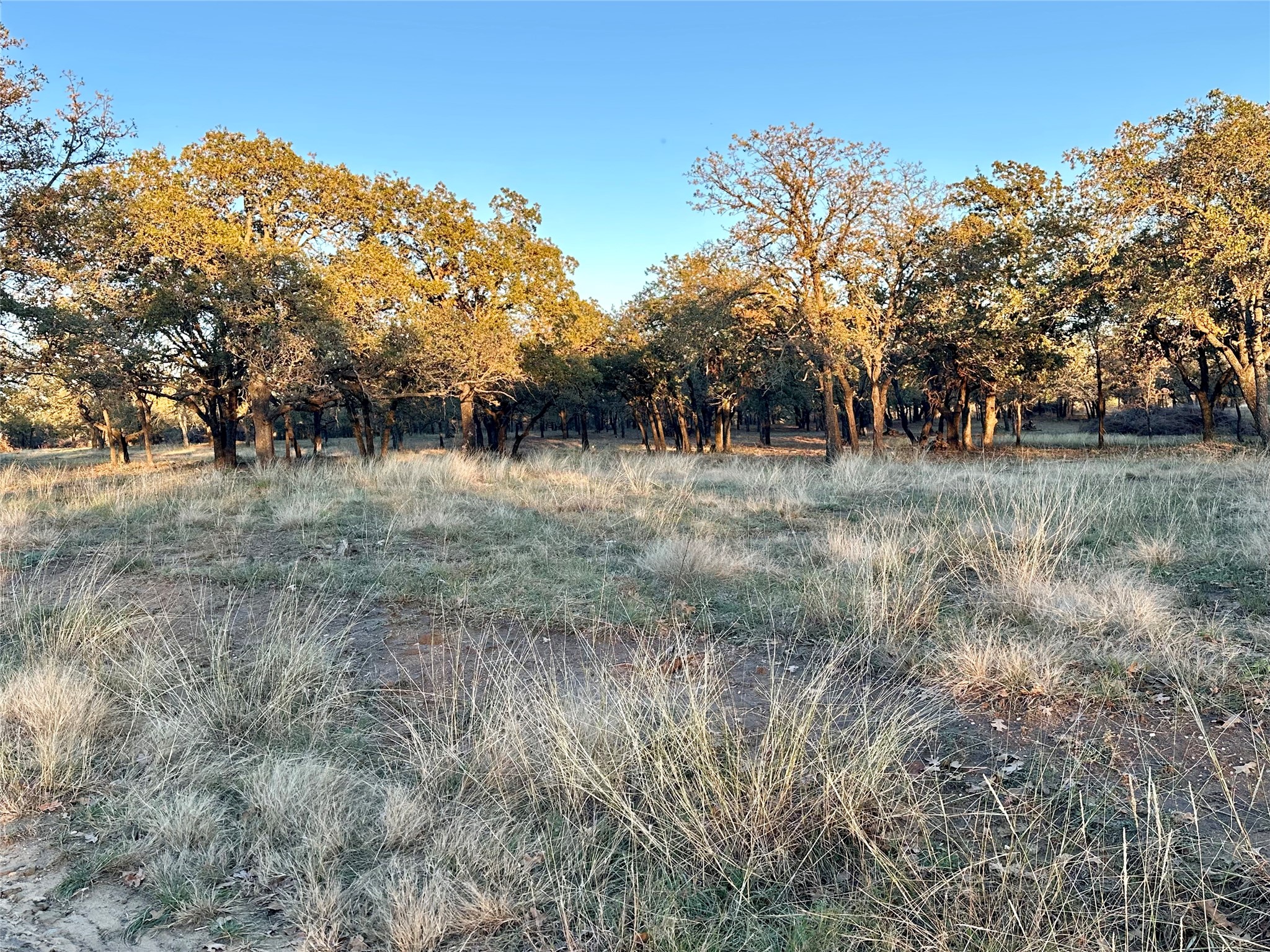 2112-A County Road 126 Gordon TX 76453