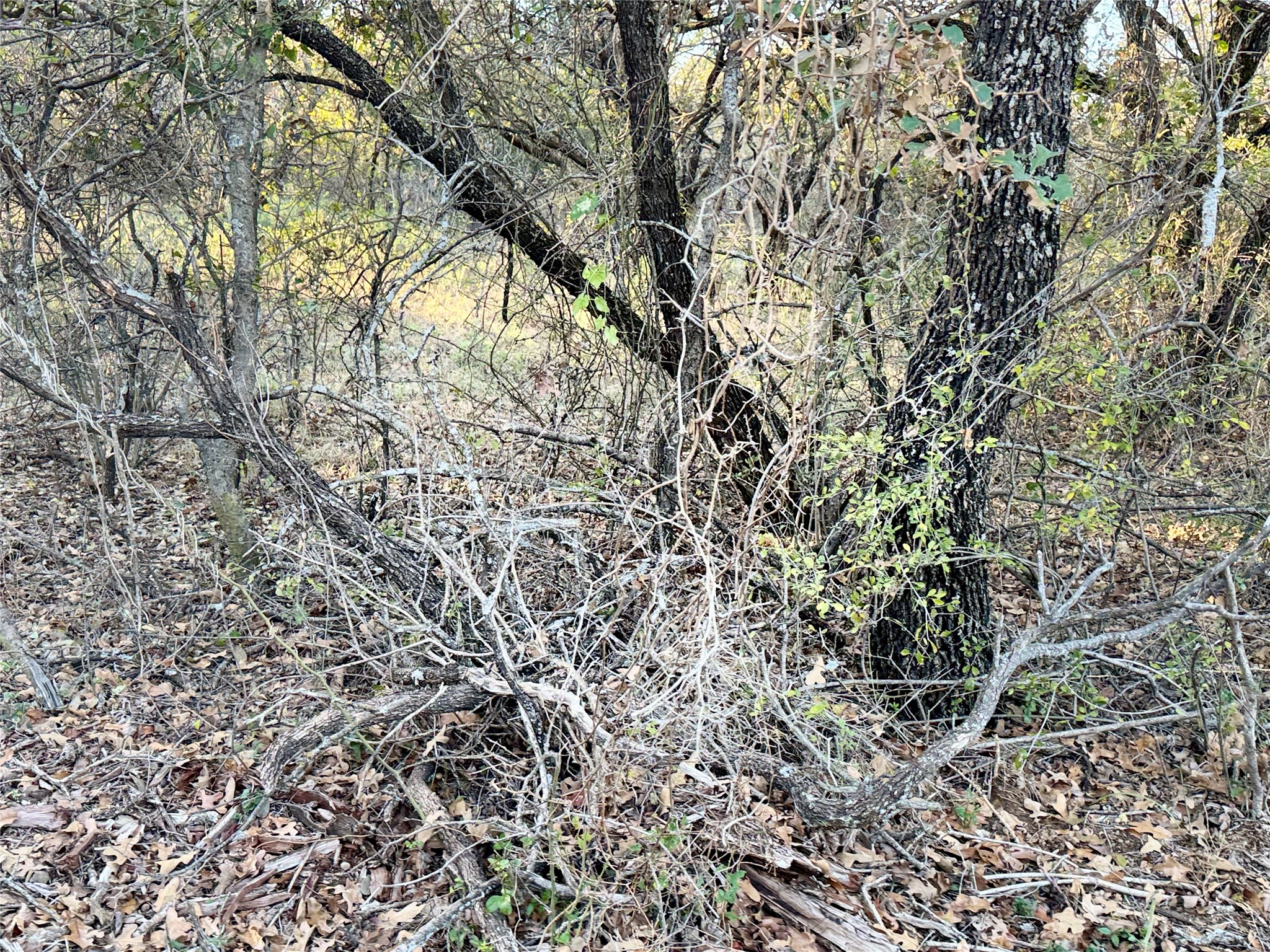 2112-A County Road 126 Gordon TX 76453