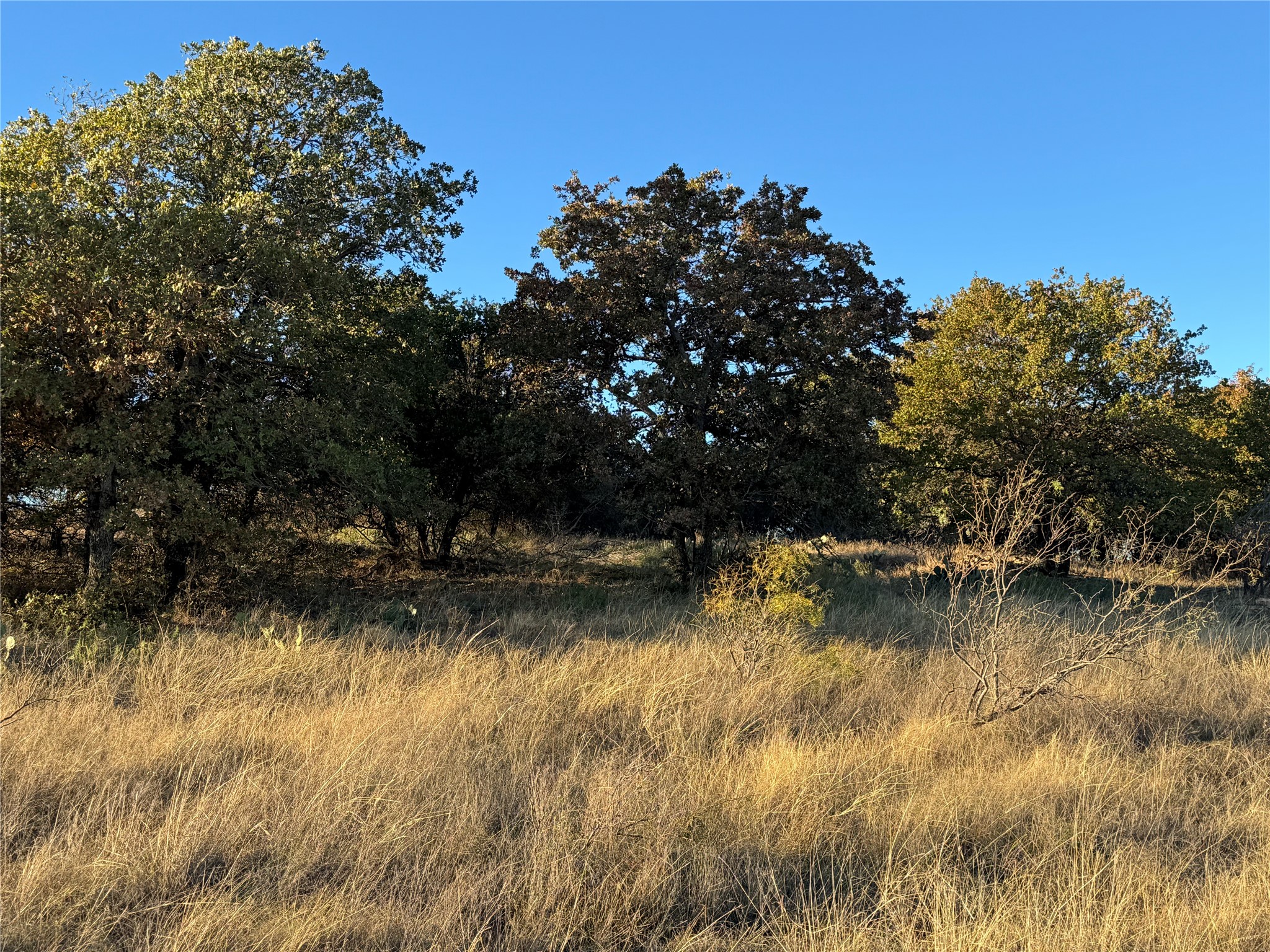 2112-A County Road 126 Gordon TX 76453