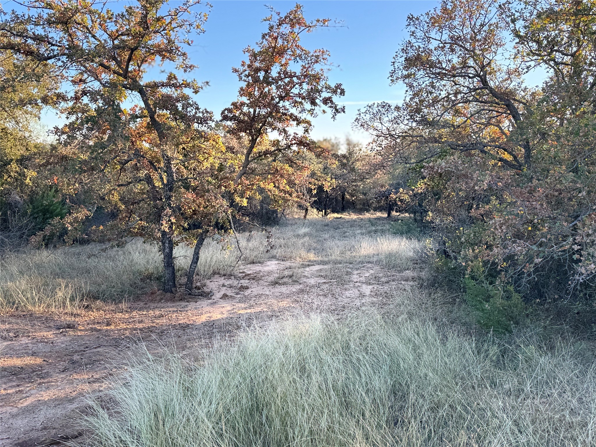 2112-A County Road 126 Gordon TX 76453