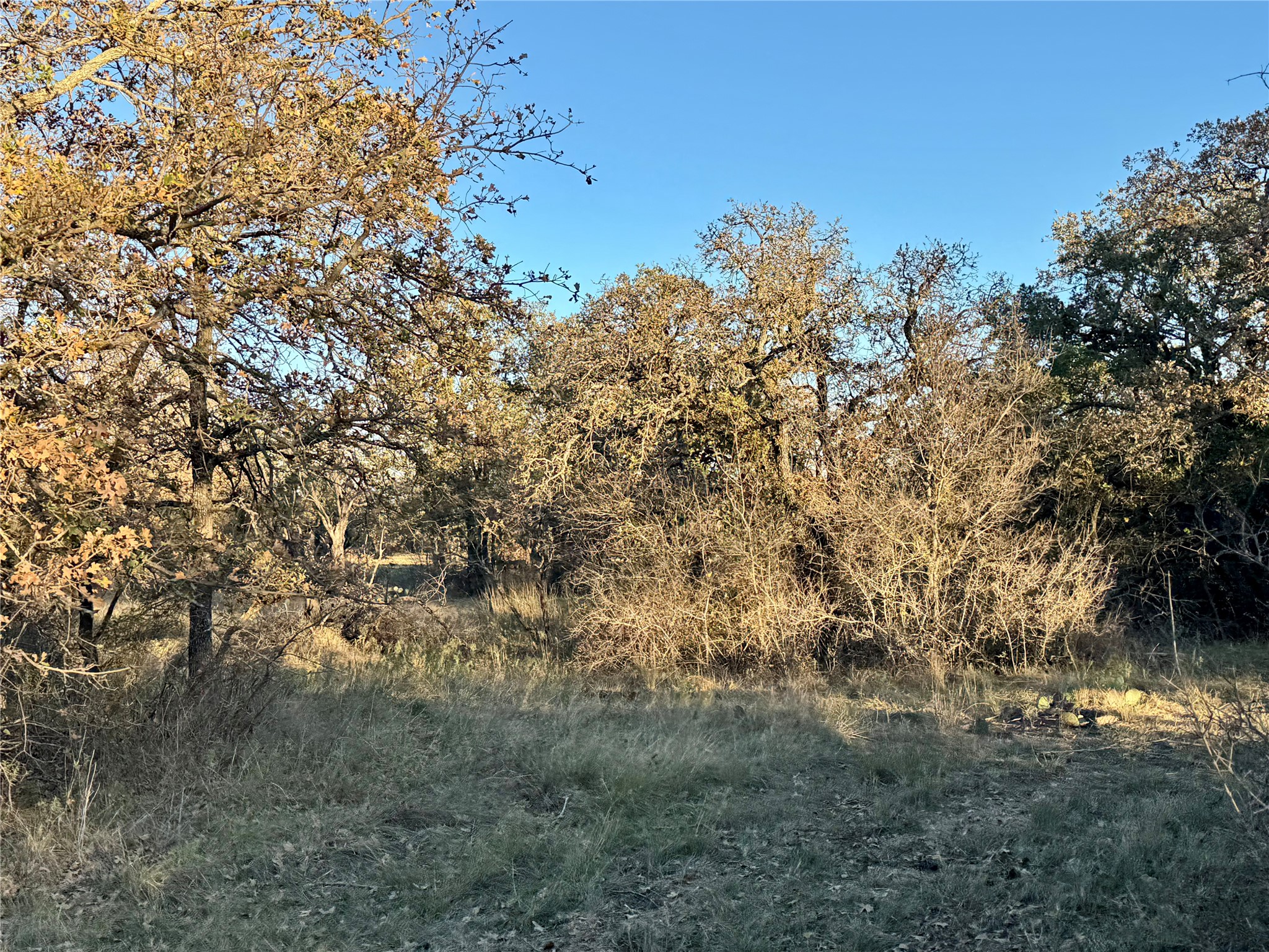 2112-A County Road 126 Gordon TX 76453