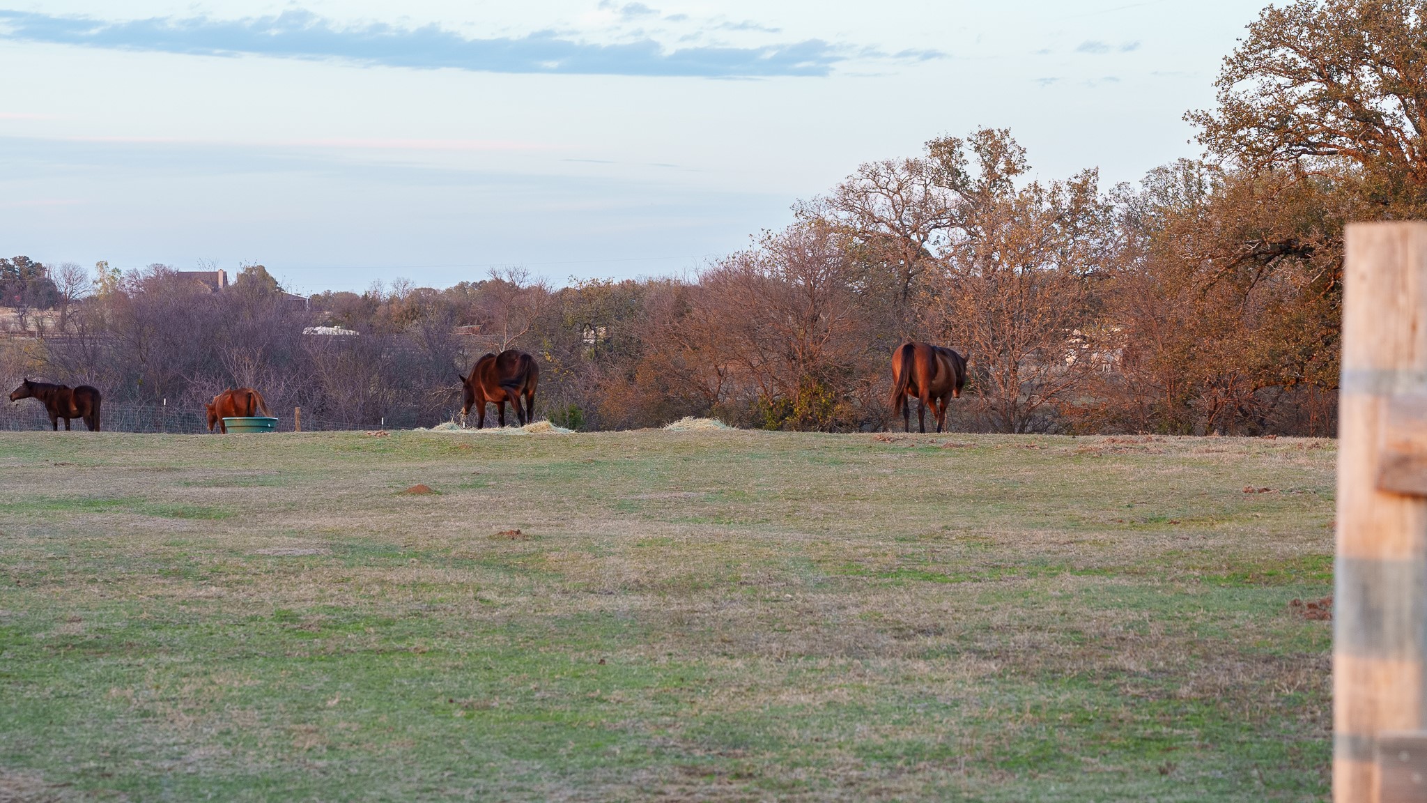 Tbd Pop Noah Road Collinsville TX 76233