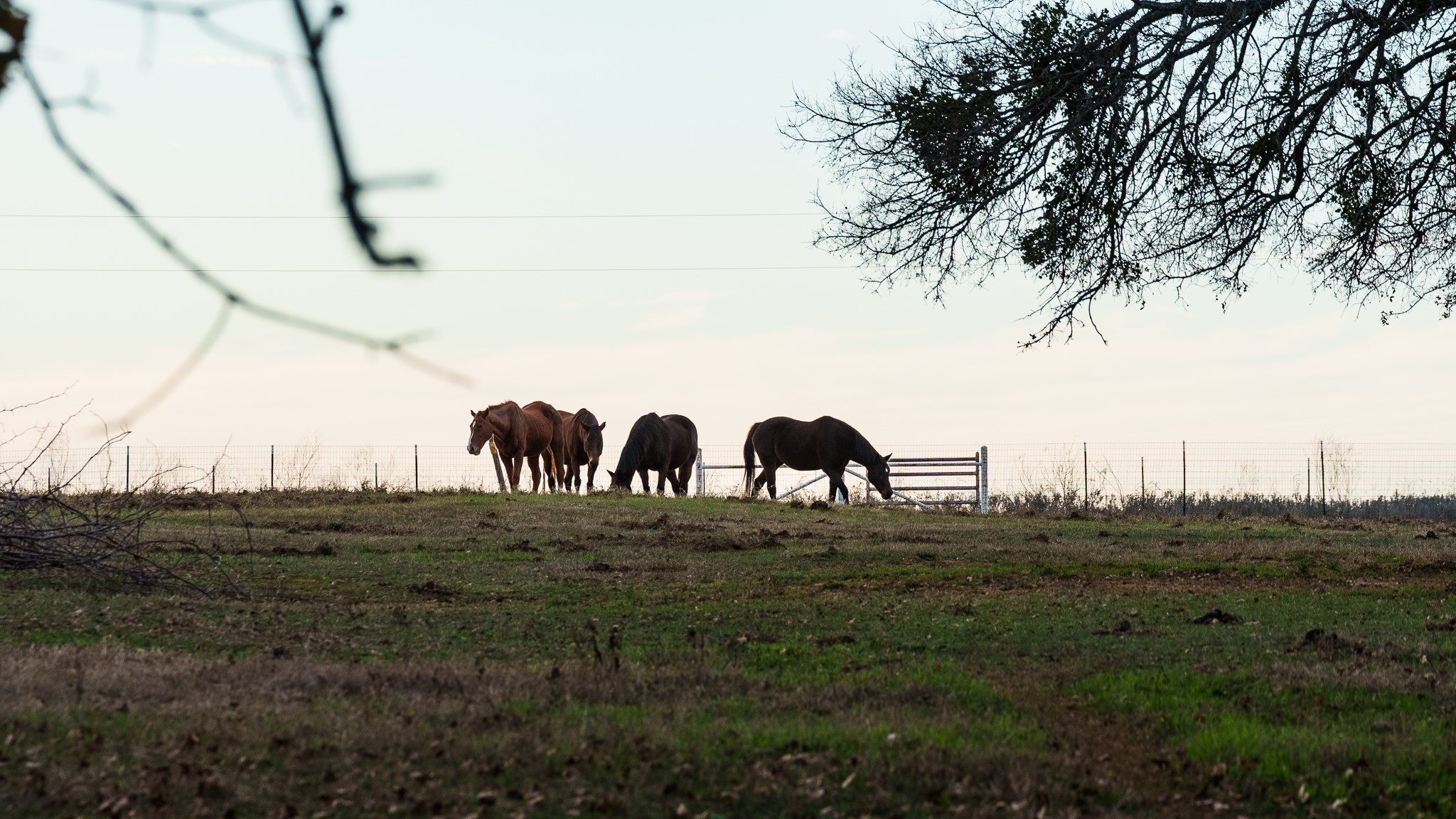 Tbd Pop Noah Road Collinsville TX 76233