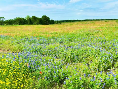 Tbd Pr 373 County Road 3373 Hubbard TX 76648