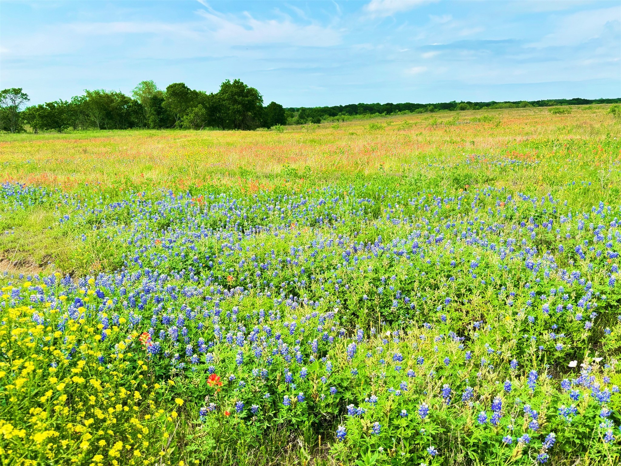 Tbd Pr 373 County Road 3373 Hubbard TX 76648
