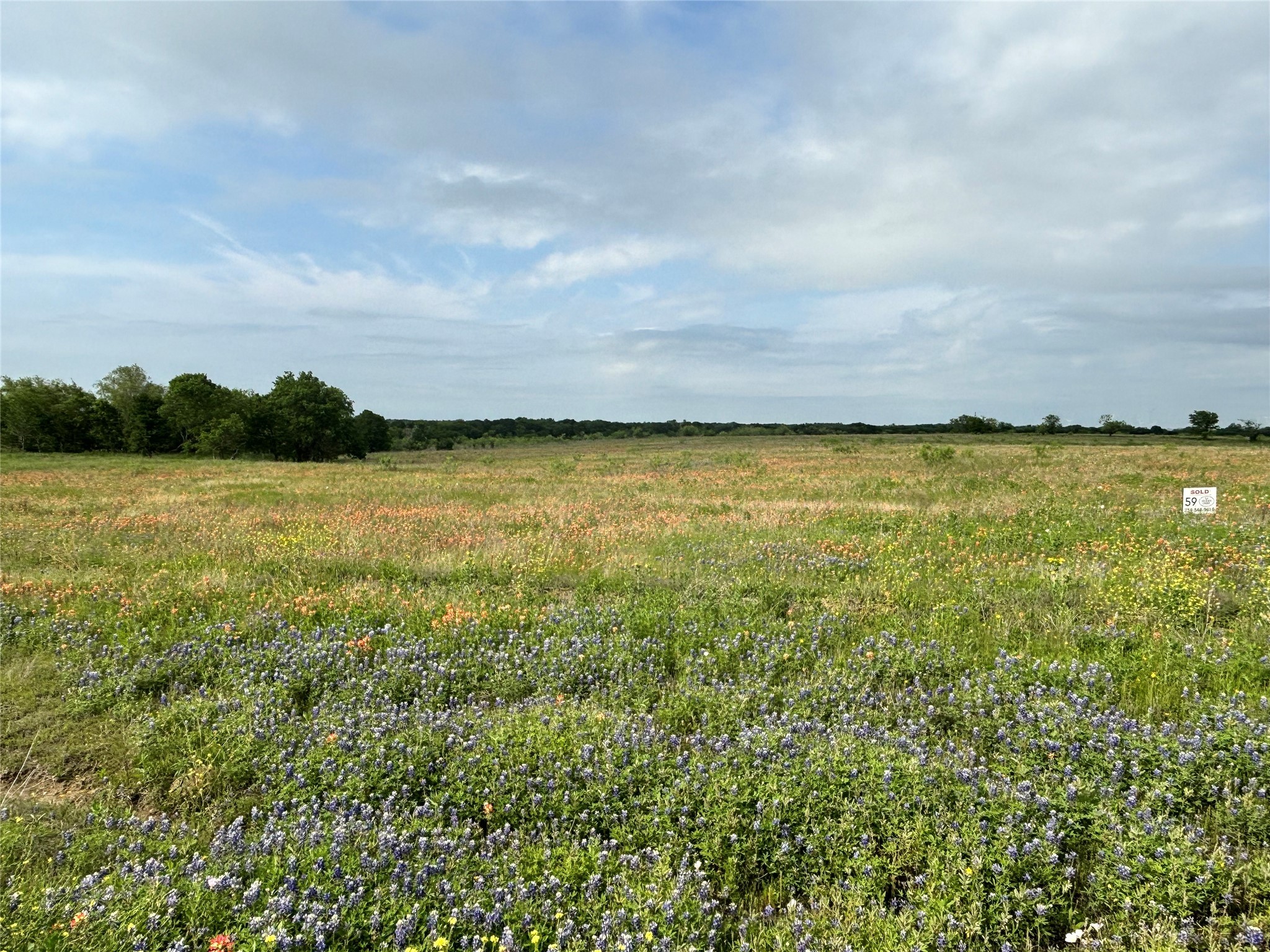 Tbd Pr 373 County Road 3373 Hubbard TX 76648