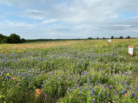 Tbd Pr 373 County Road 3373 Hubbard TX 76648