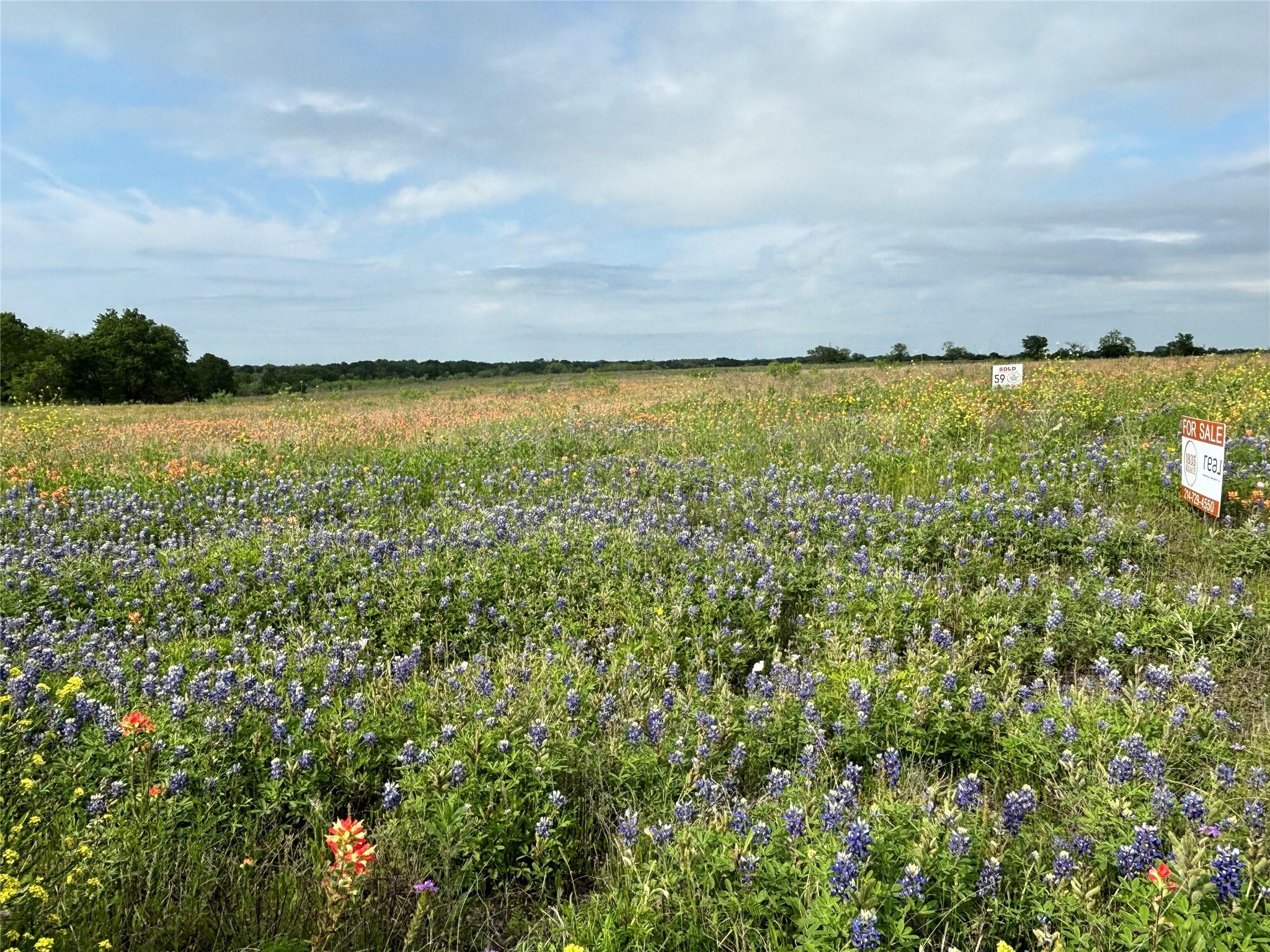 Tbd Pr 373 County Road 3373 Hubbard TX 76648