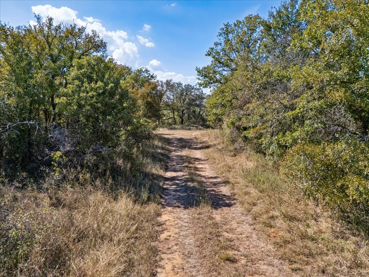 1812 Co 114 Road Mingus TX 76463