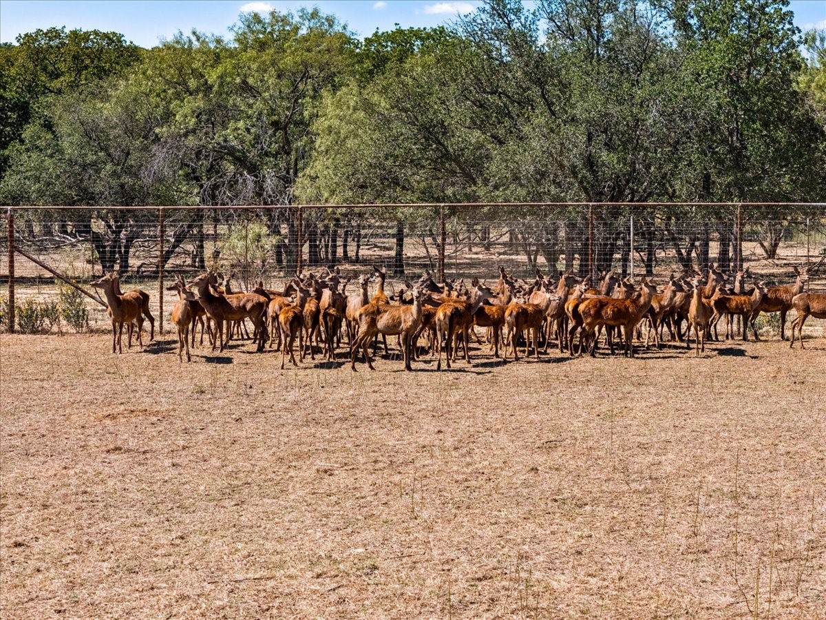 1812 Co 114 Road Mingus TX 76463