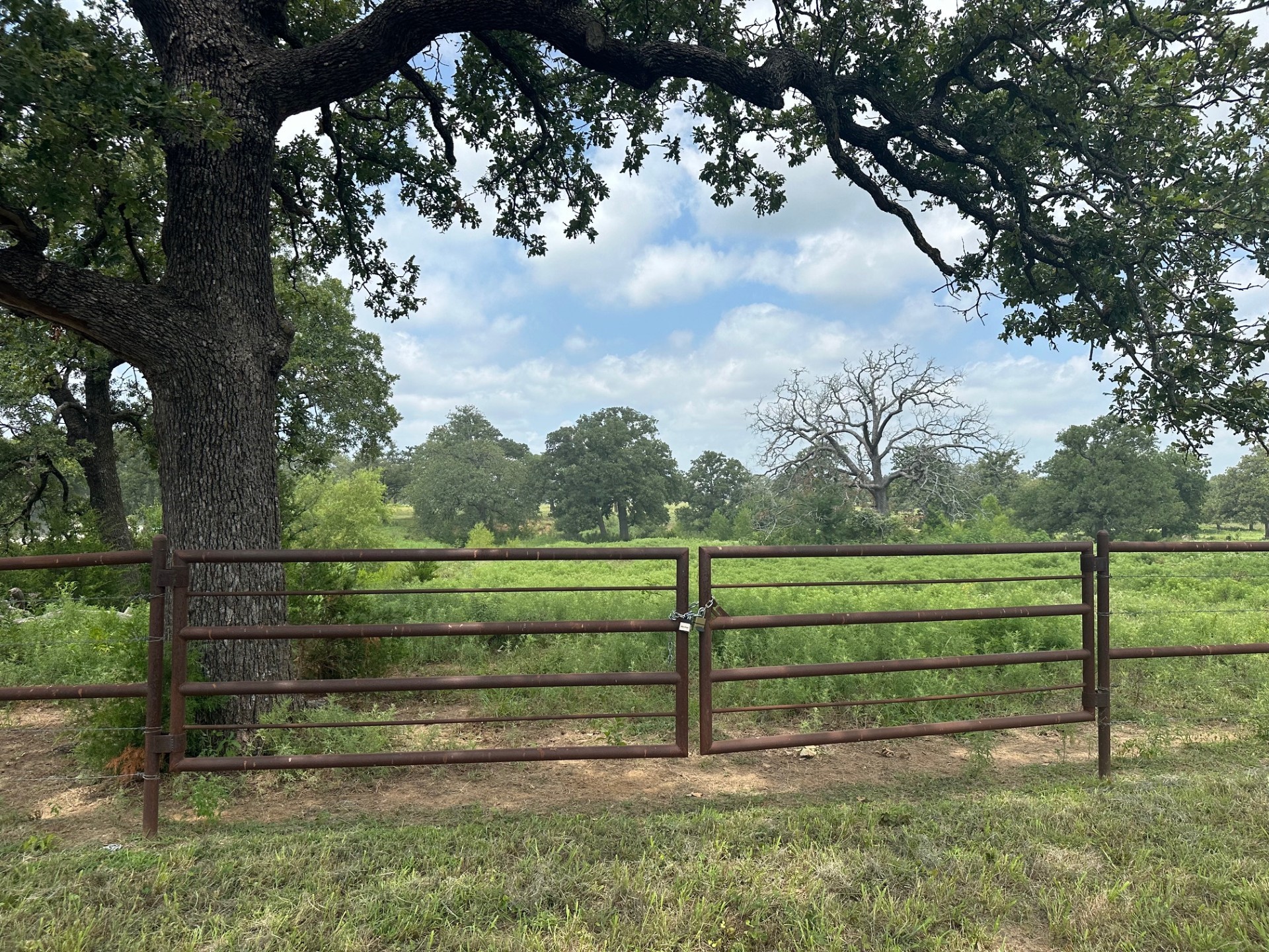 Tbd County Road 122 Whitesboro TX 76273