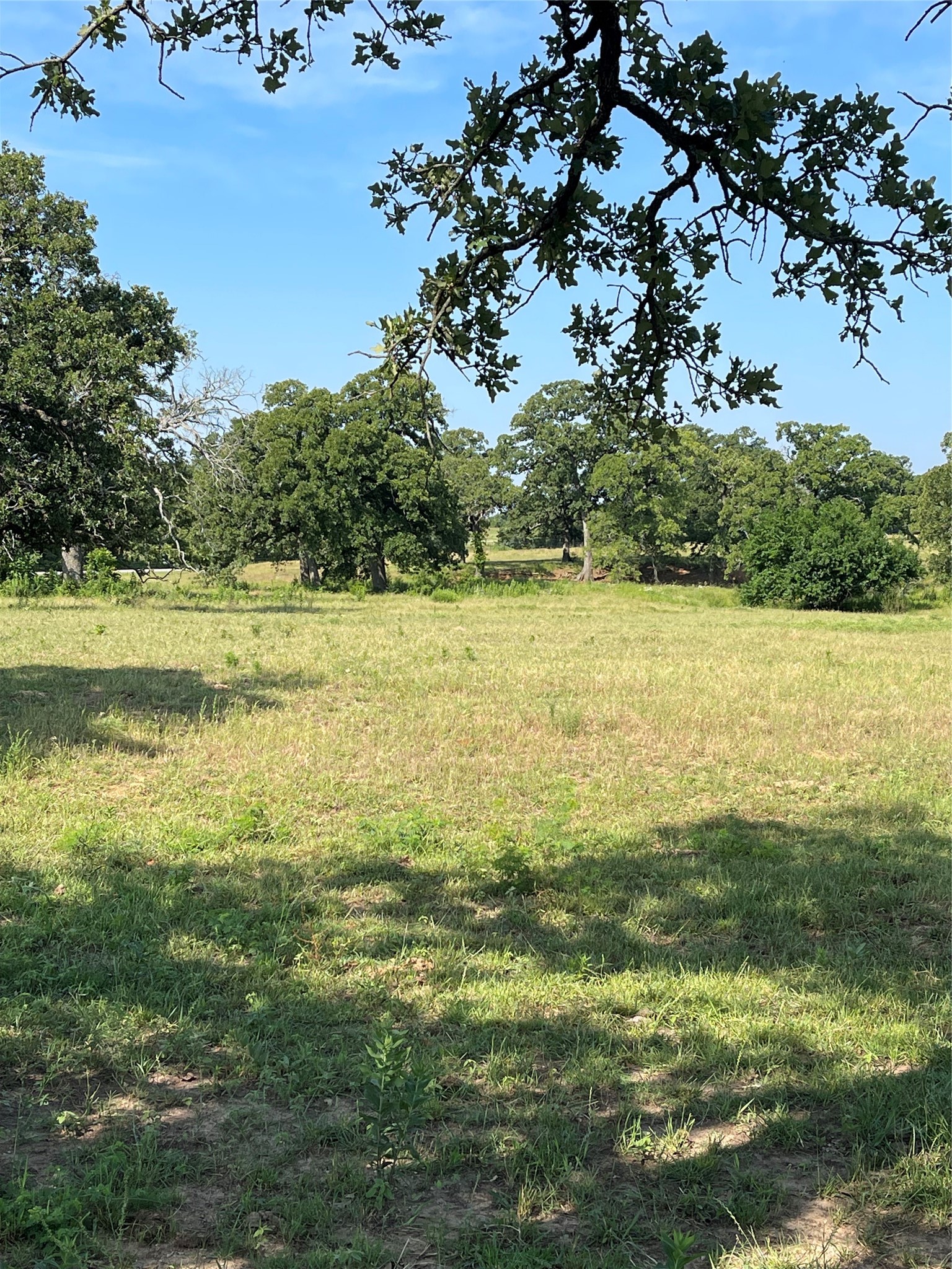 Tbd County Road 122 Whitesboro TX 76273