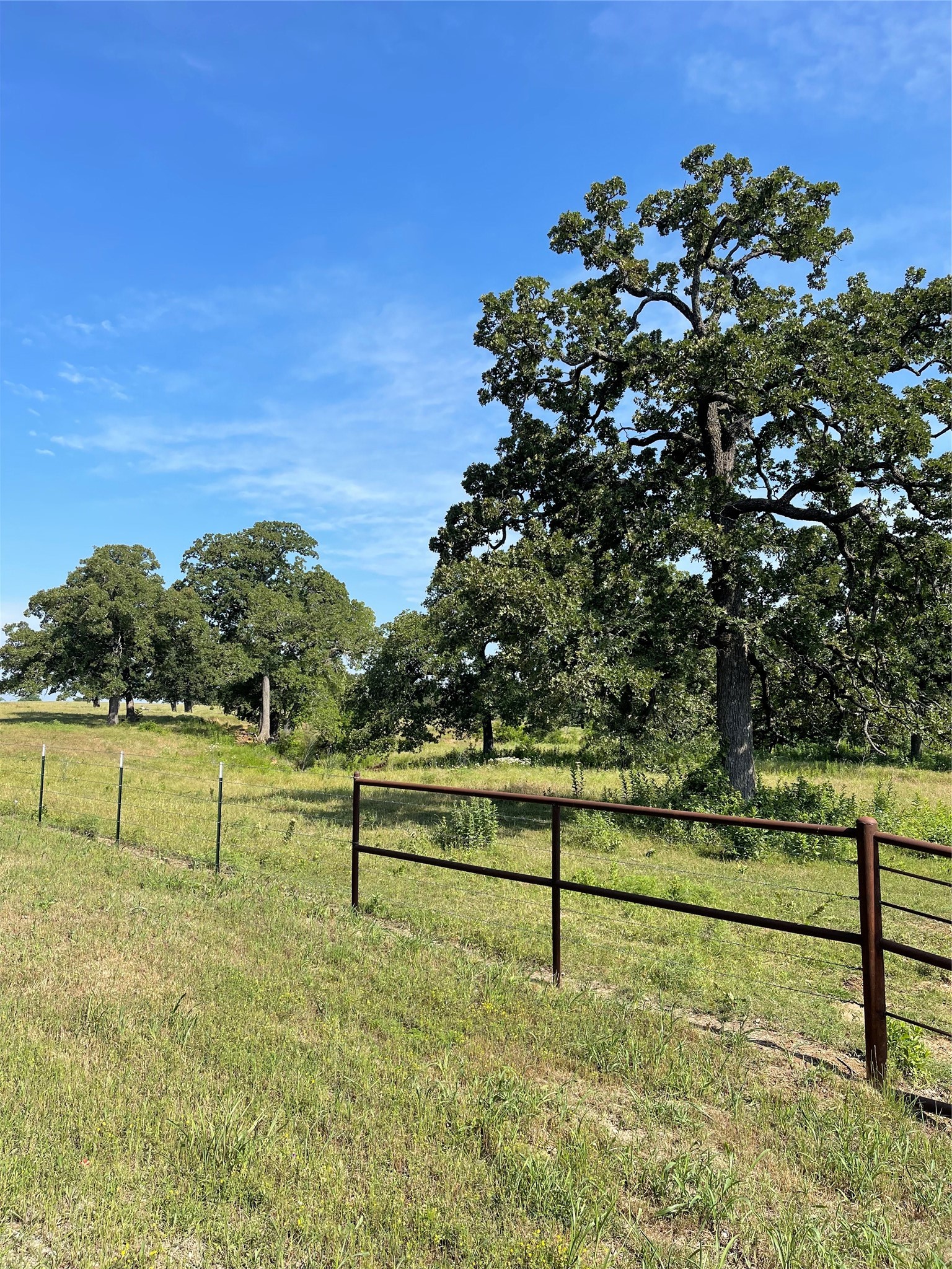 Tbd County Road 122 Whitesboro TX 76273