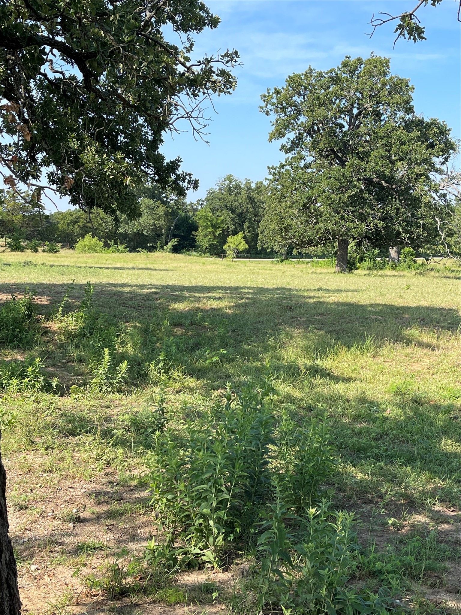 Tbd County Road 122 Whitesboro TX 76273
