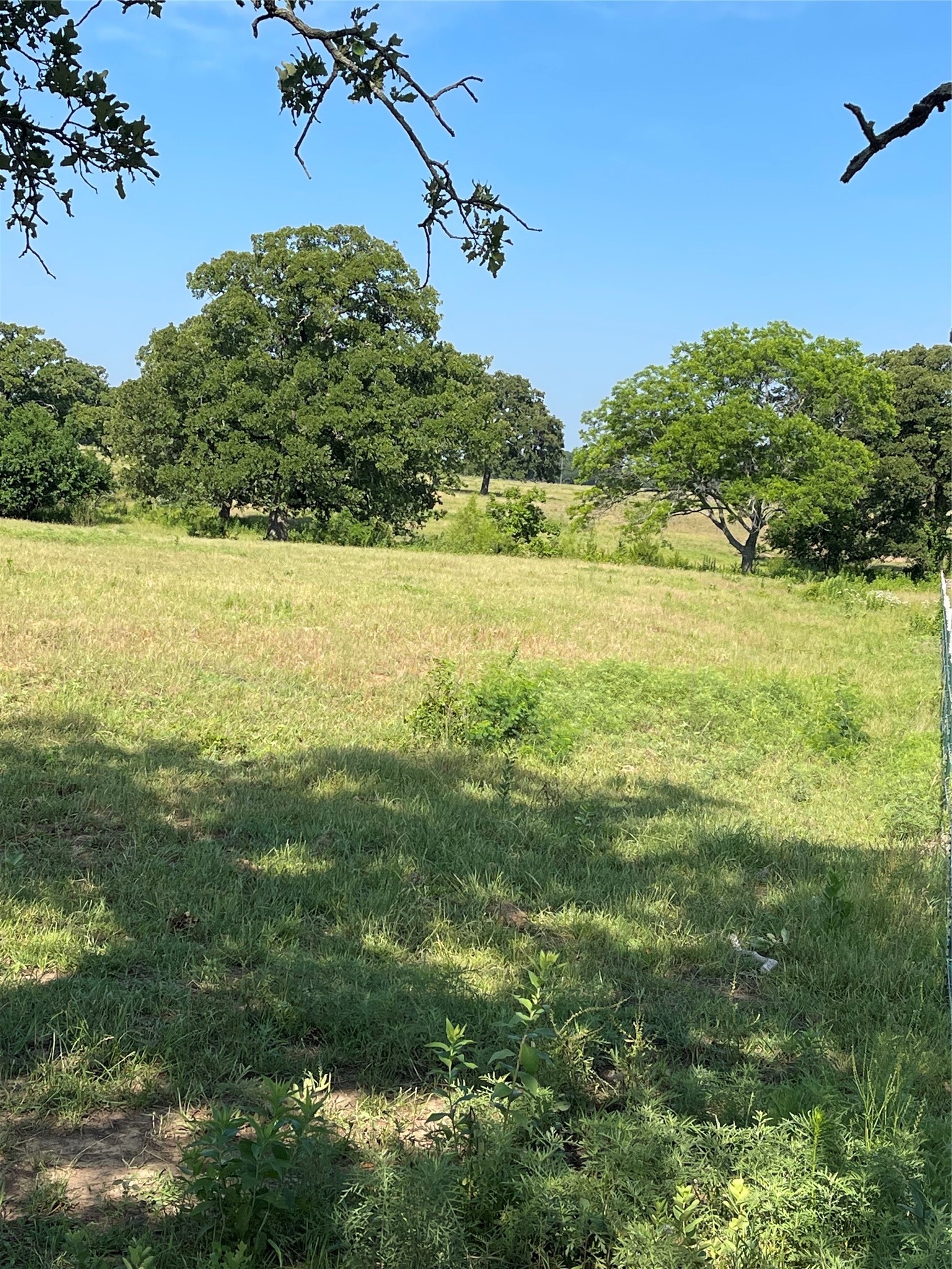 Tbd County Road 122 Whitesboro TX 76273