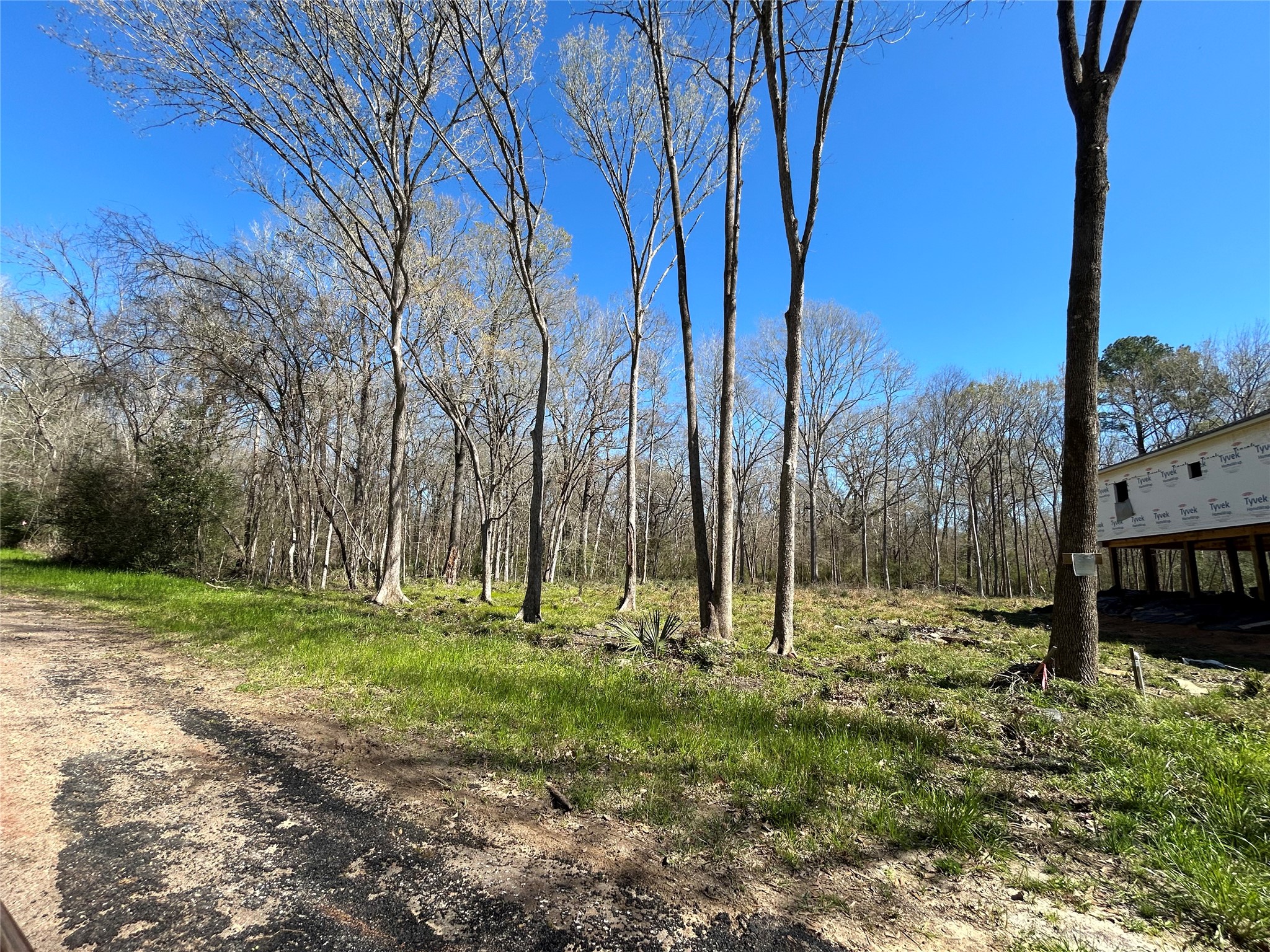 0 Royal Creek Road Willis TX 77303