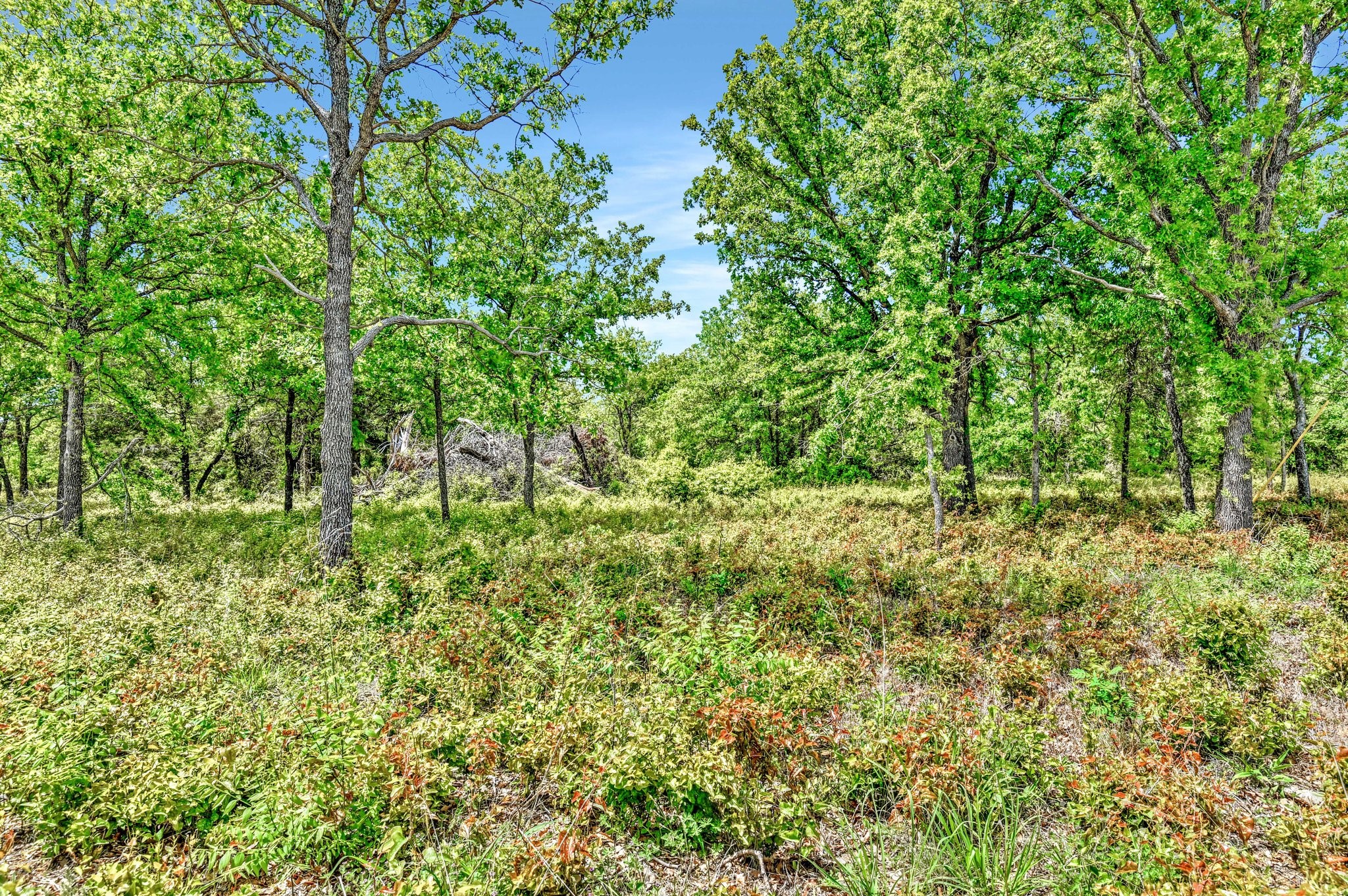 Tbd Doe Lane Nocona TX 76255