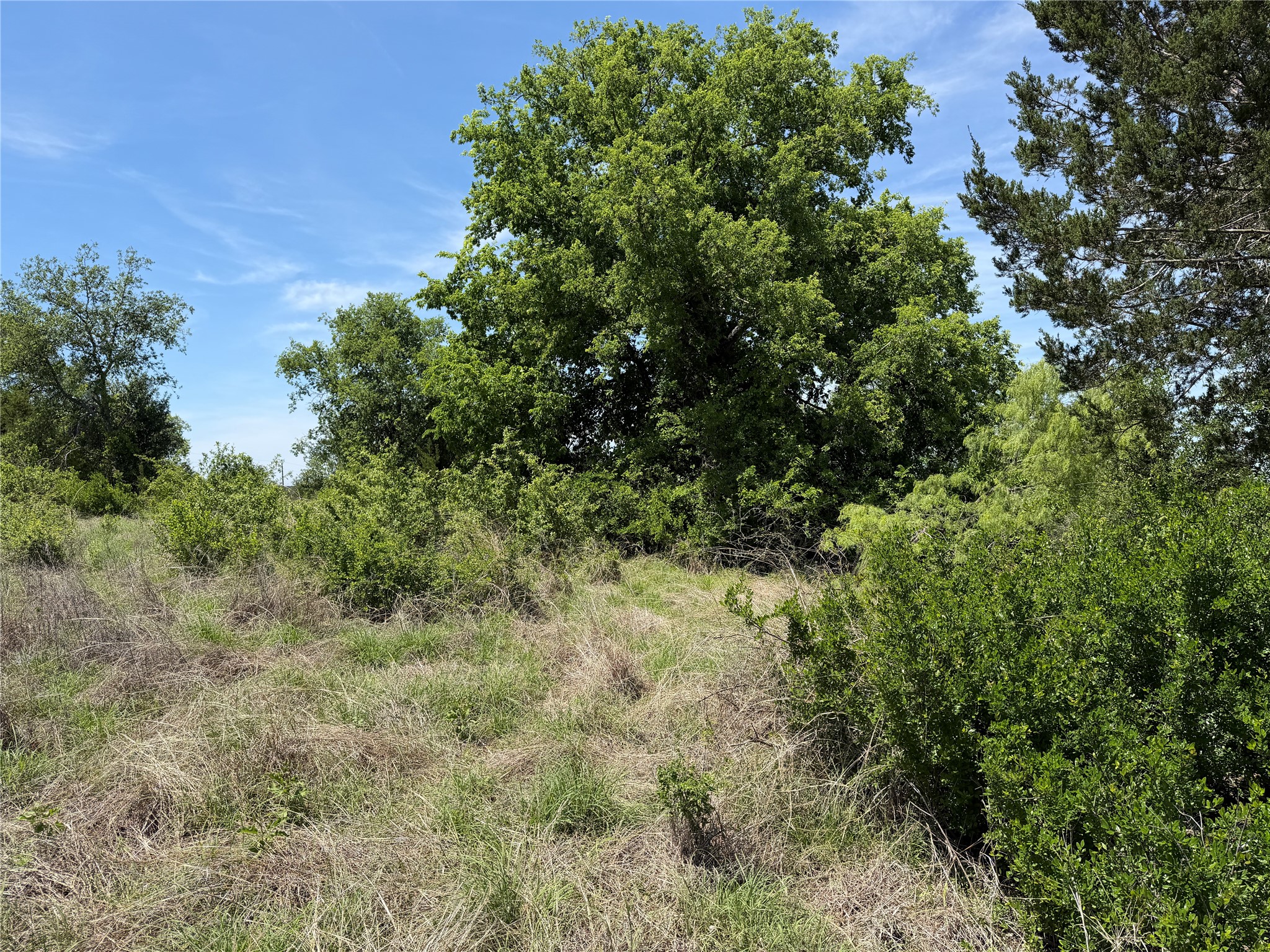 Tbd Pr 3033 Hamilton TX 76531