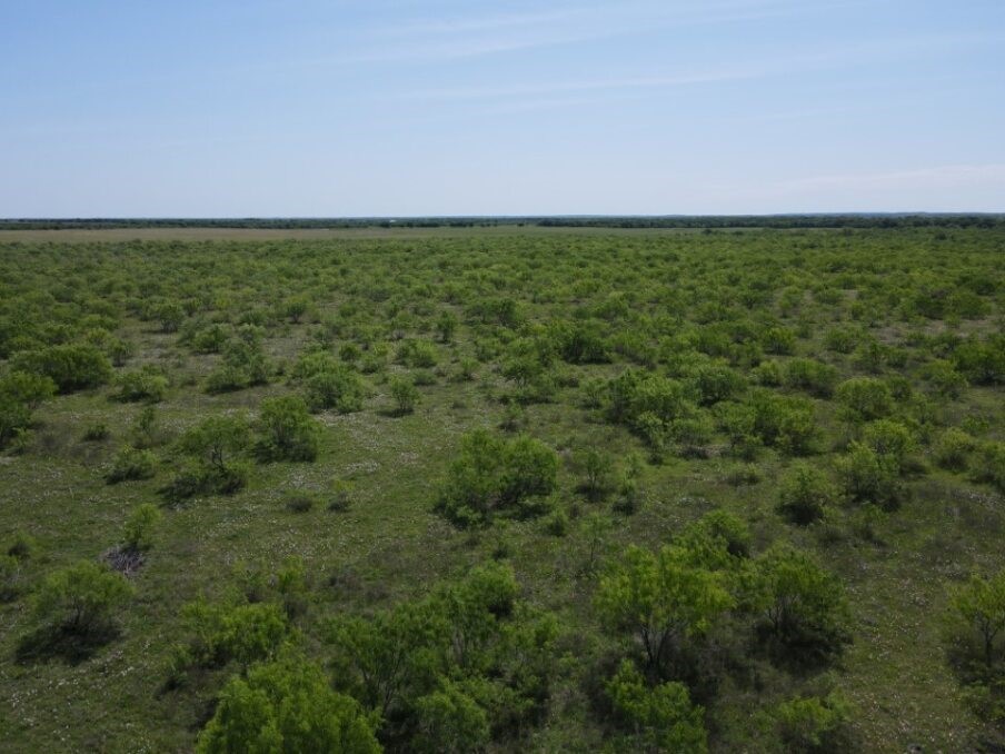 Tbd Southwest 4120 Dawson TX 76639