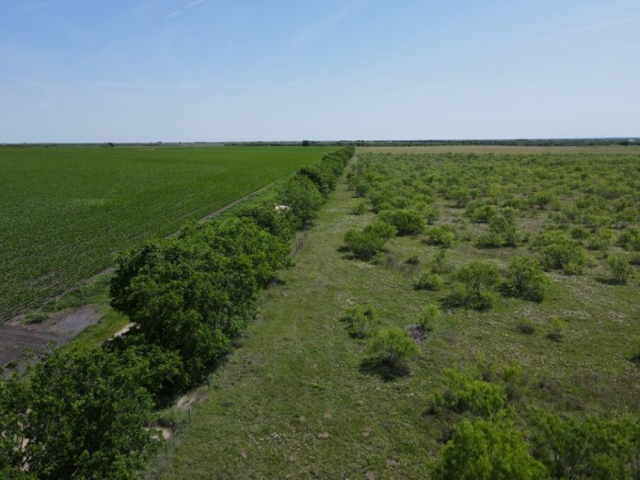 Tbd Southwest 4120 Dawson TX 76639