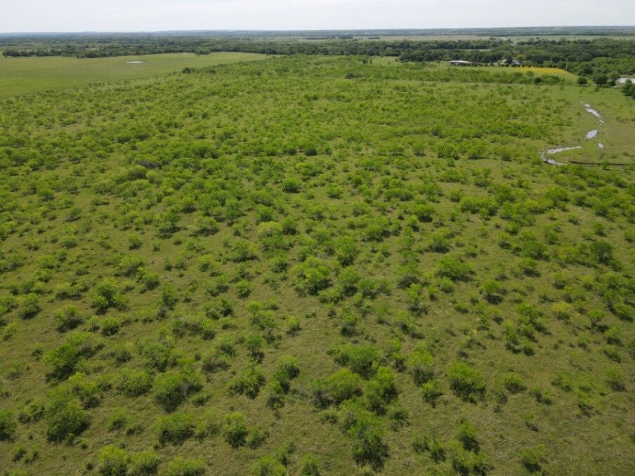 Tbd Southwest 4120 Dawson TX 76639