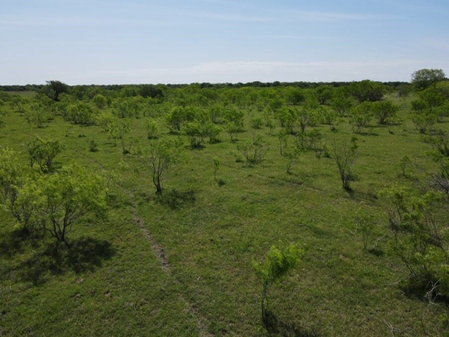 Tbd Southwest 4120 Dawson TX 76639