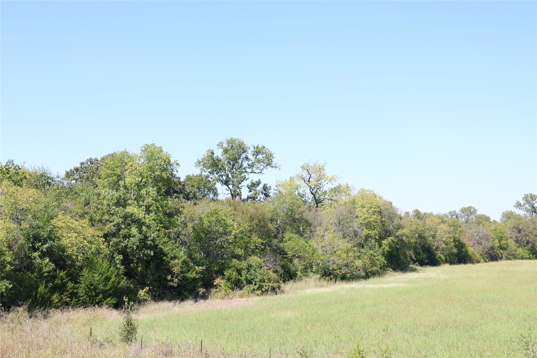 Lot 2 Tbd County Road 2005 Bonham TX 75418