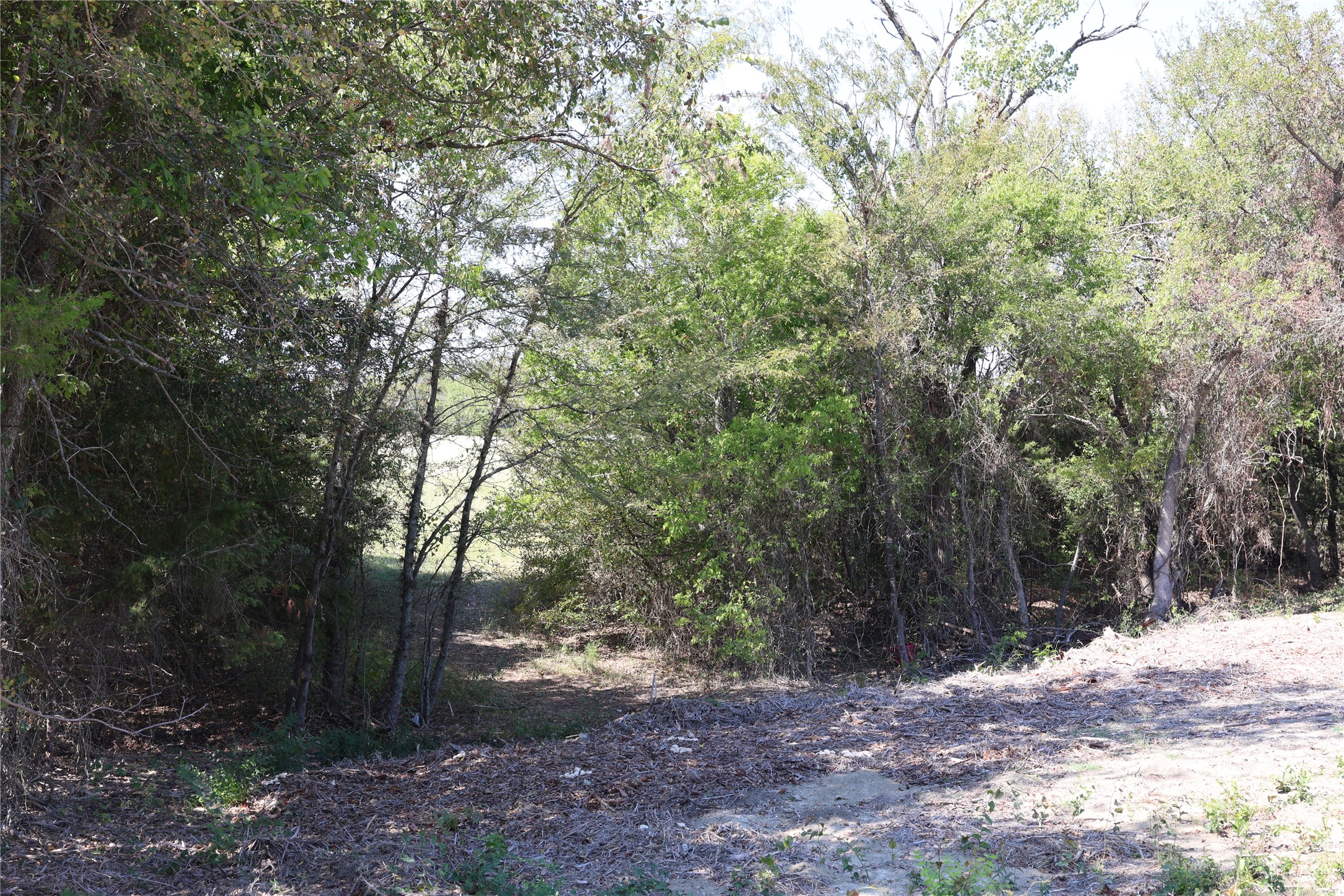 Lot 2 Tbd County Road 2005 Bonham TX 75418