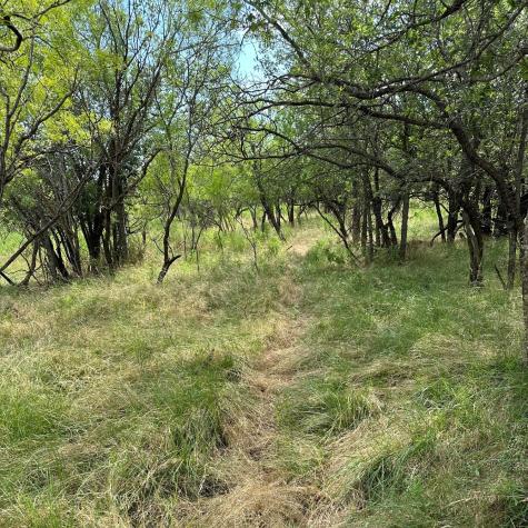 Tract 19 Ac Cr 150 Abilene TX 79601