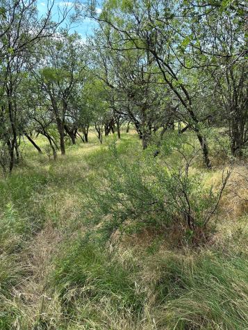 Tract 19 Ac Cr 150 Abilene TX 79601