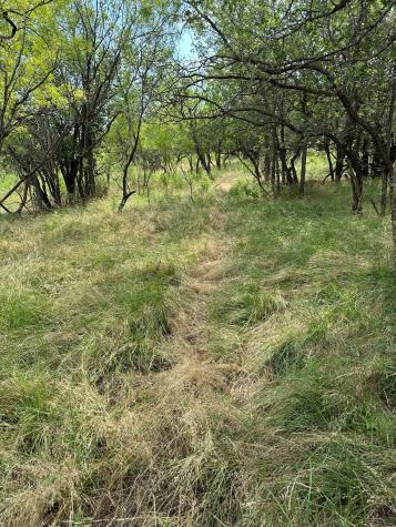 Tract 19 Ac Cr 150 Abilene TX 79601