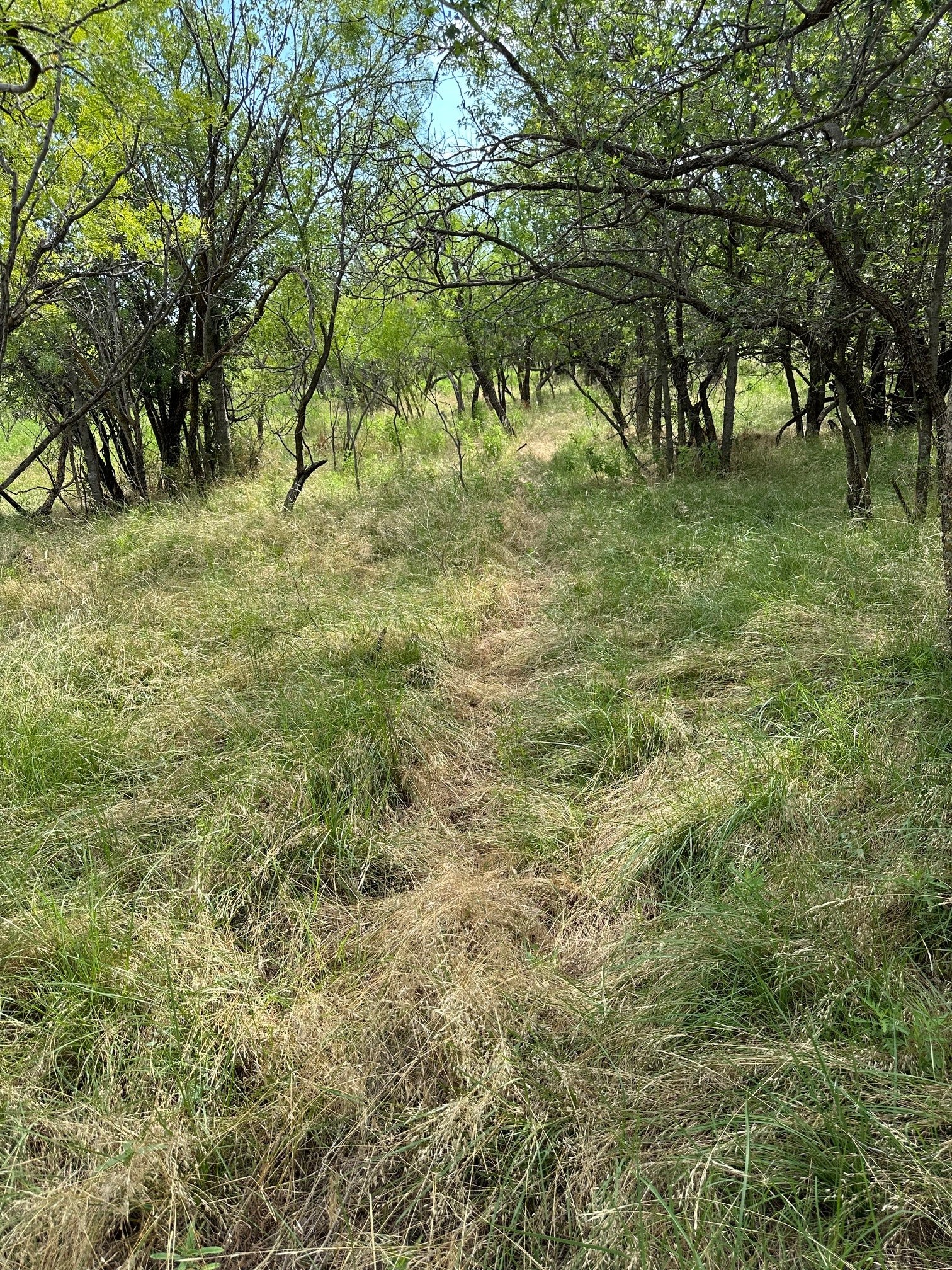 Tract 19 Ac Cr 150 Abilene TX 79601