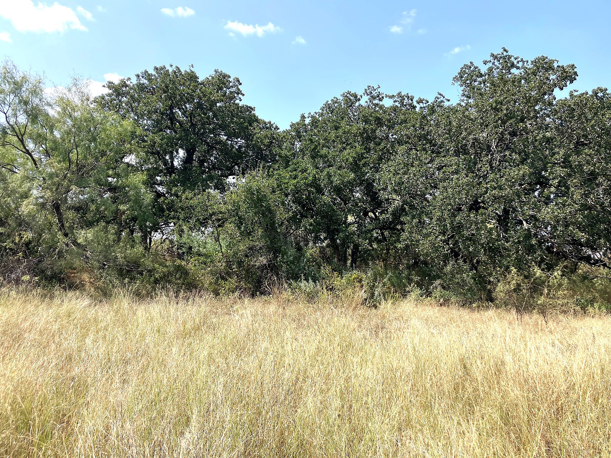 40 Acres Tbd Highway 2247 Comanche TX 76442