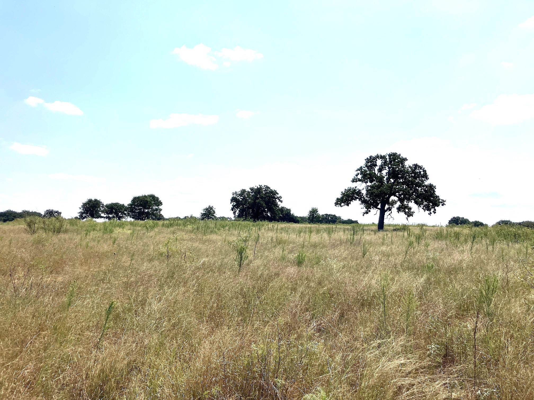 40 Acres Tbd Highway 2247 Comanche TX 76442