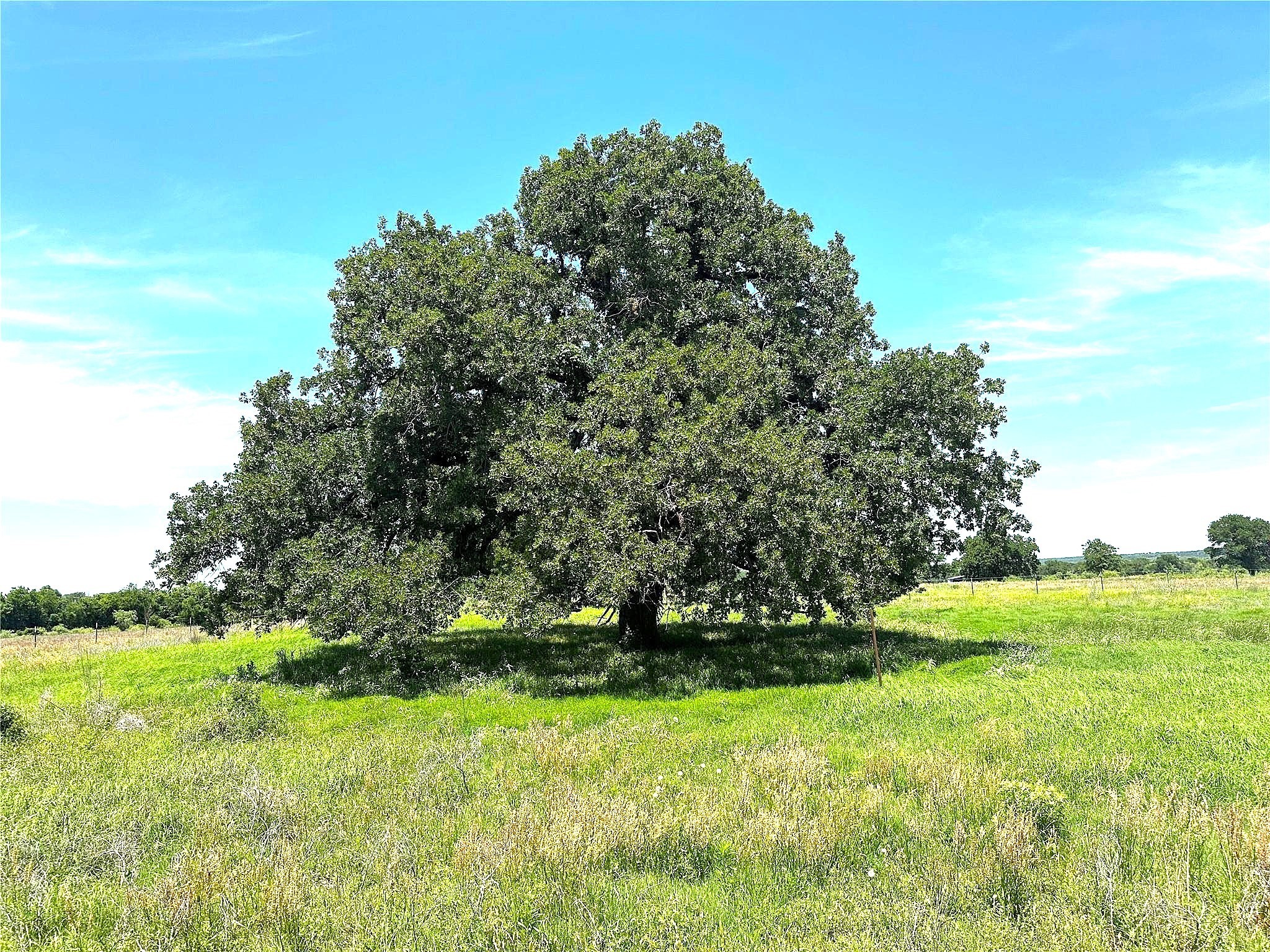 40 Acres Tbd Highway 2247 Comanche TX 76442