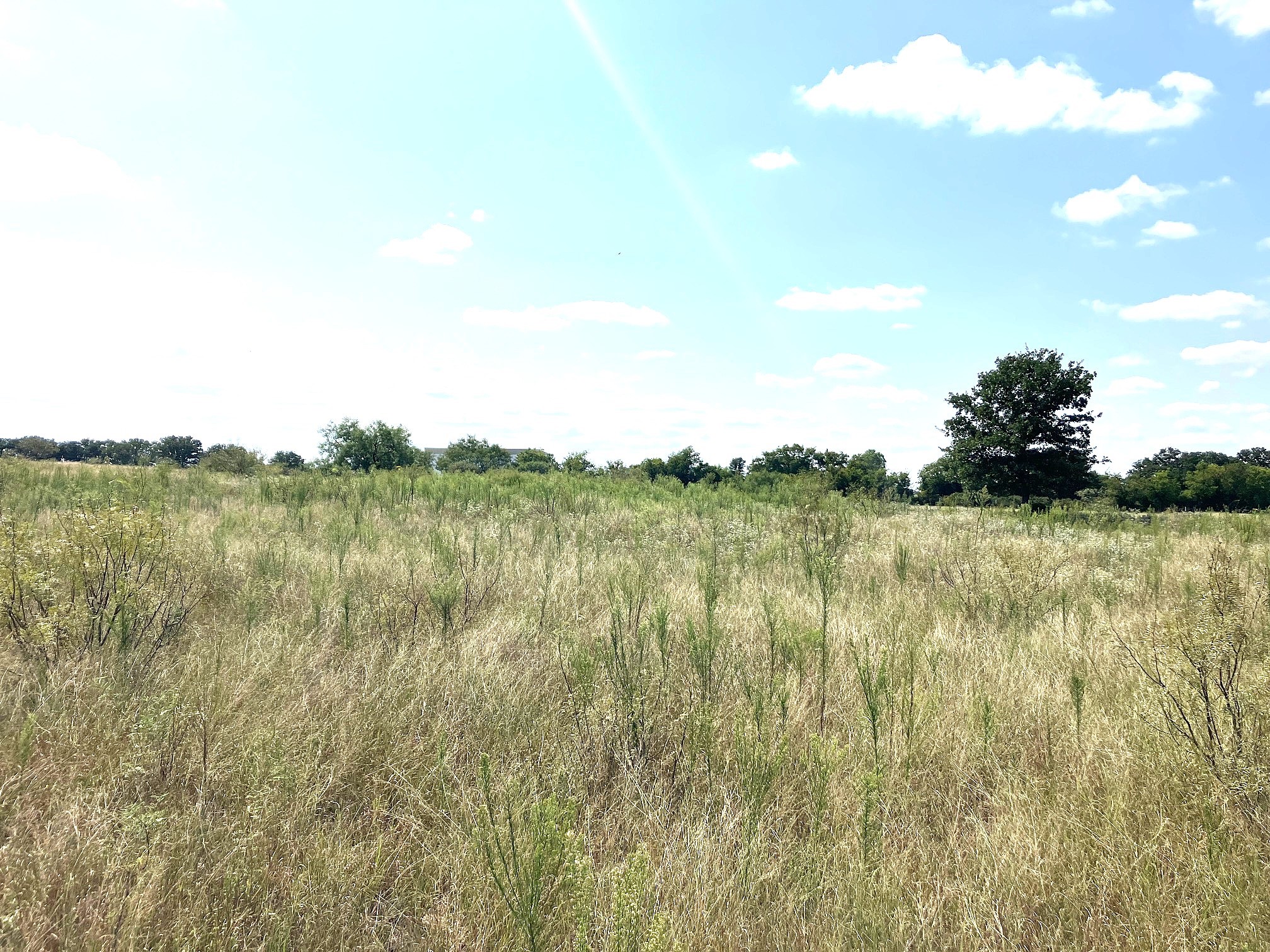 40 Acres Tbd Highway 2247 Comanche TX 76442