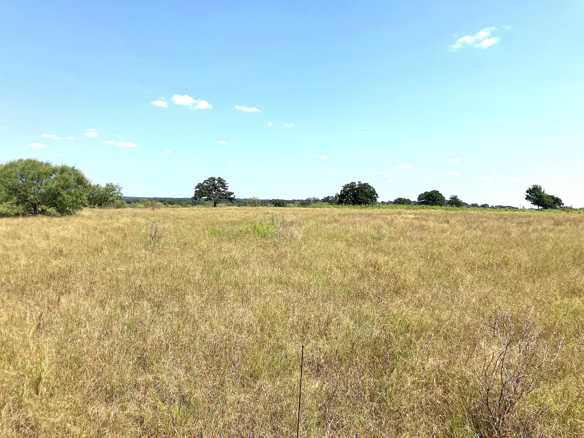 40 Acres Tbd Highway 2247 Comanche TX 76442