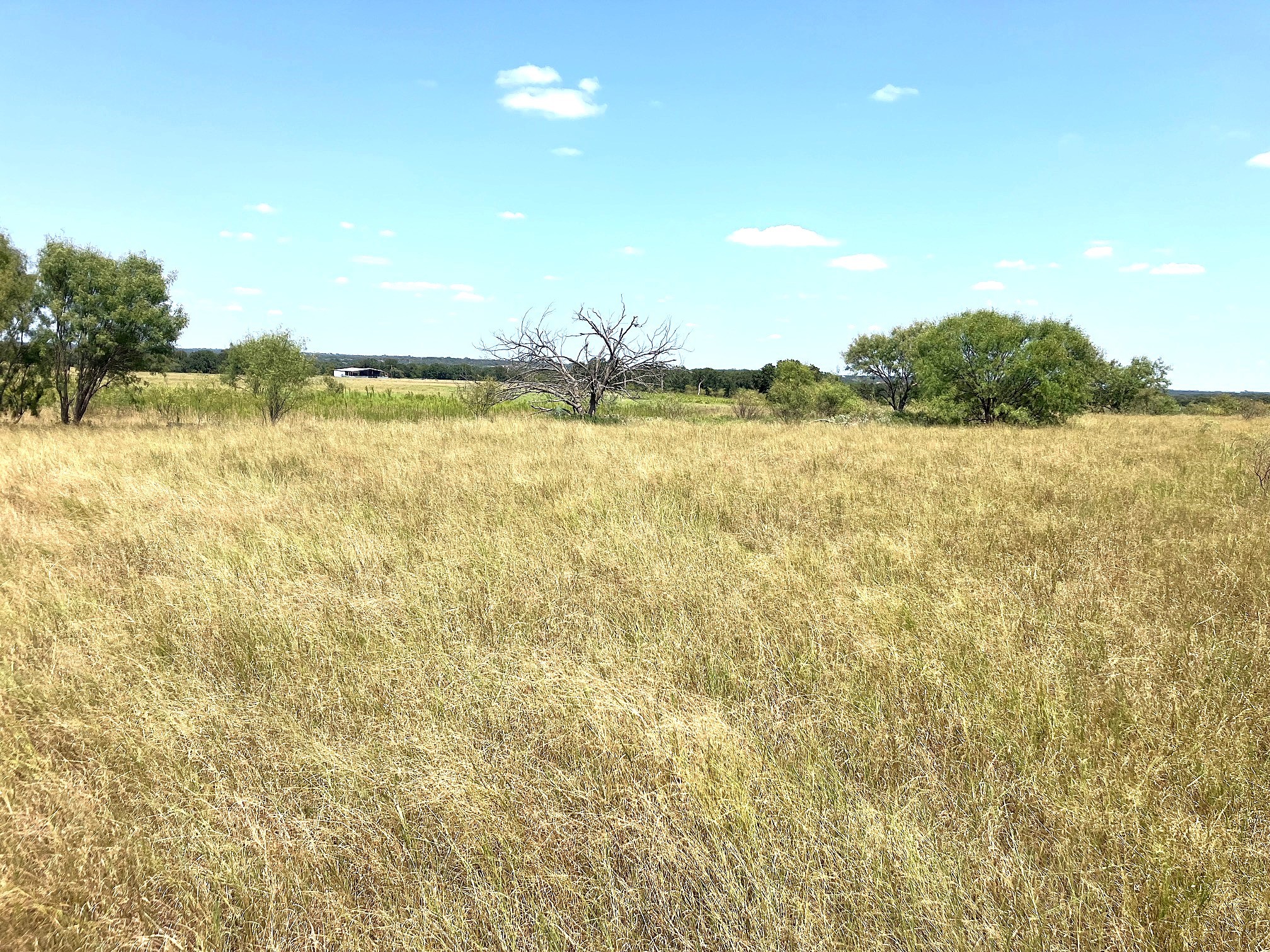 40 Acres Tbd Highway 2247 Comanche TX 76442