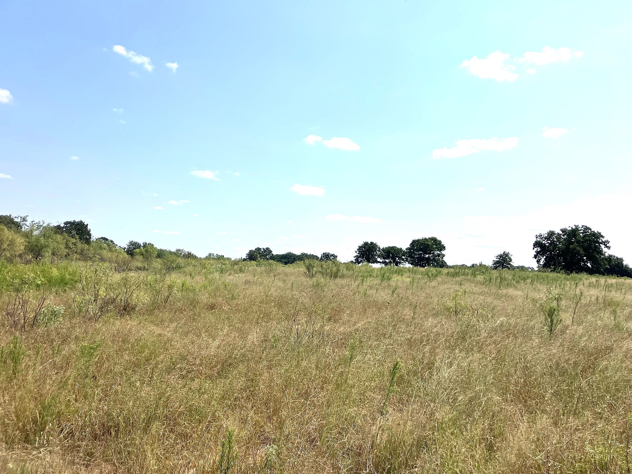 40 Acres Tbd Highway 2247 Comanche TX 76442