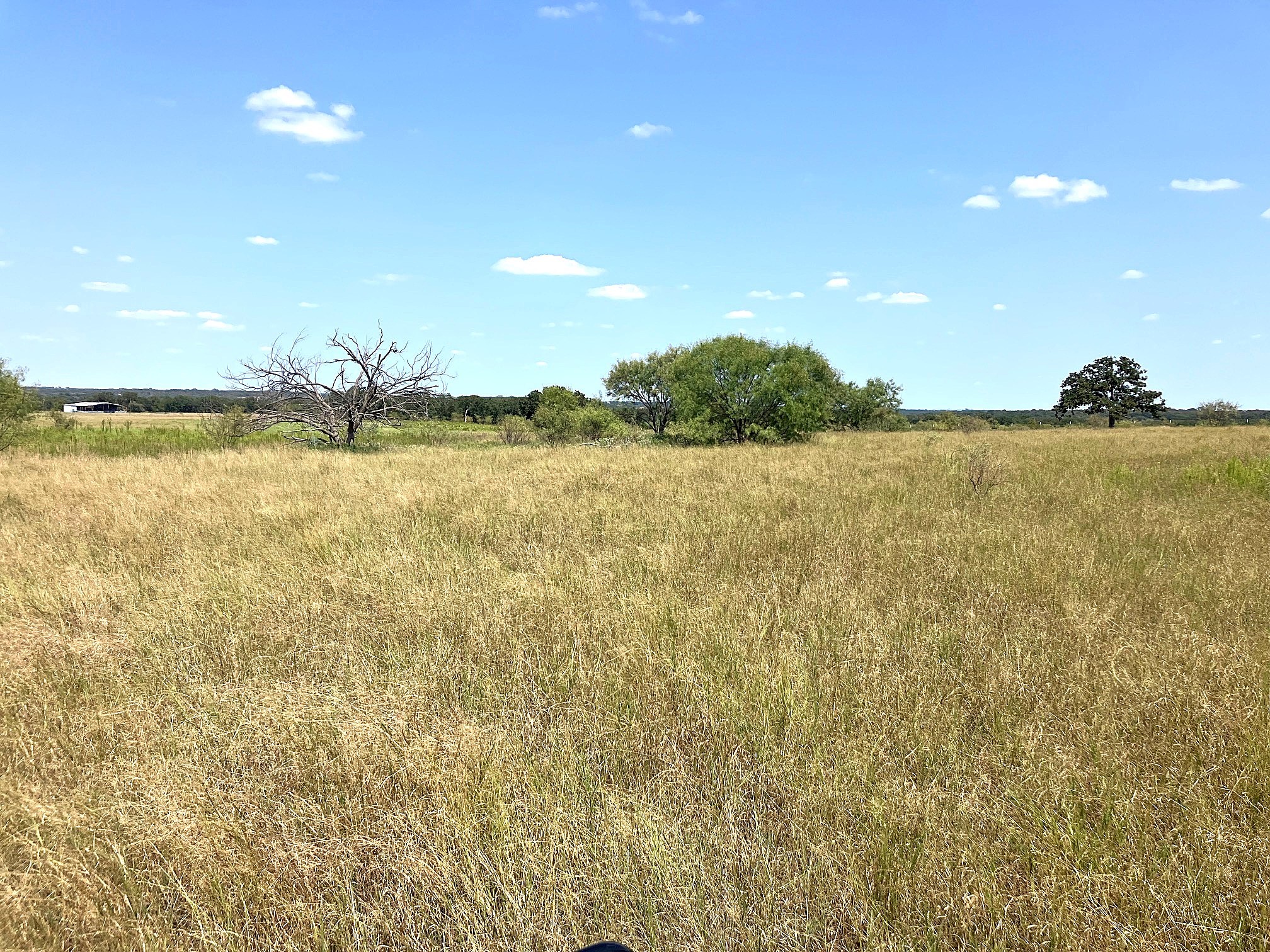 40 Acres Tbd Highway 2247 Comanche TX 76442