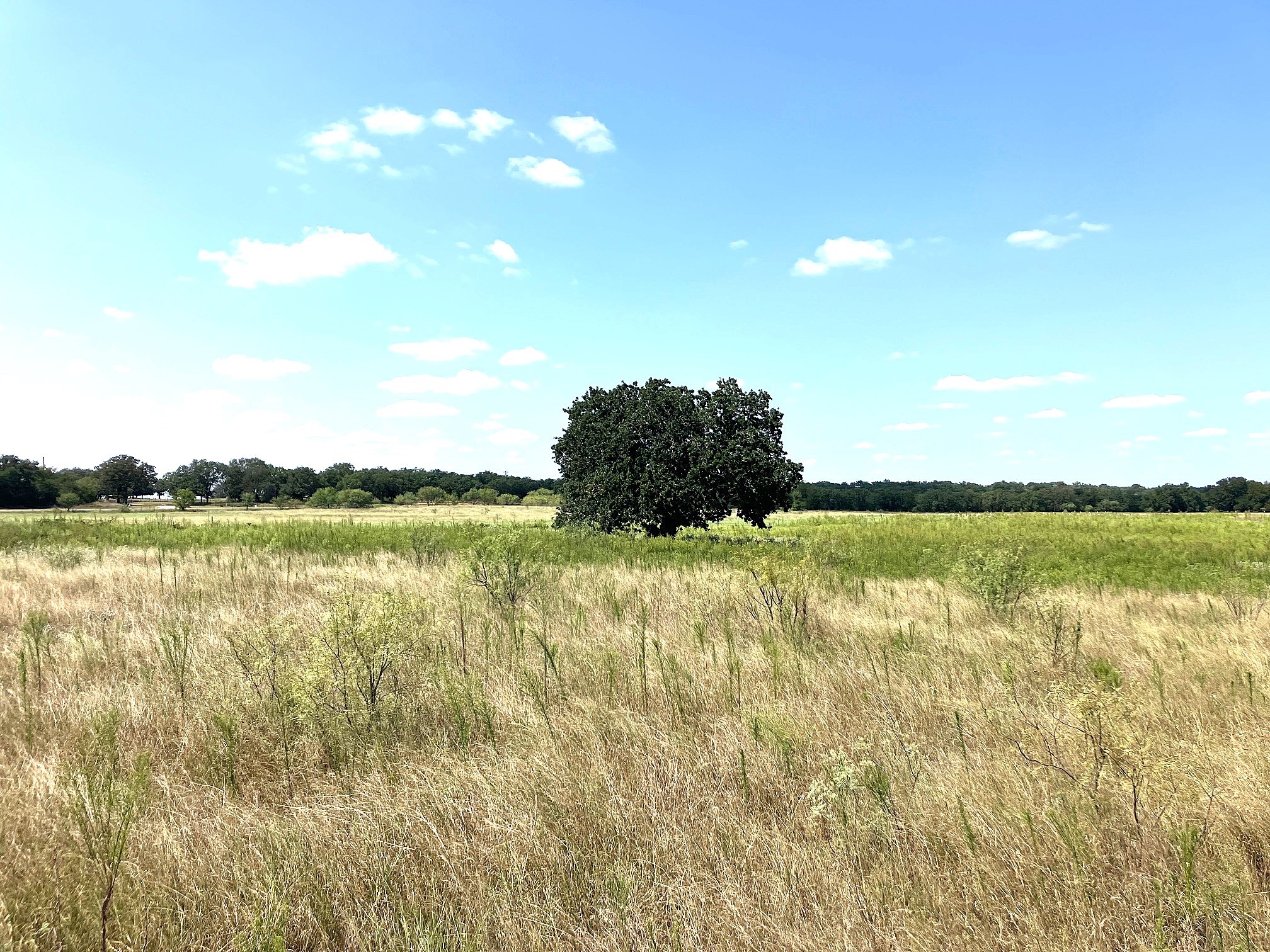 40 Acres Tbd Highway 2247 Comanche TX 76442