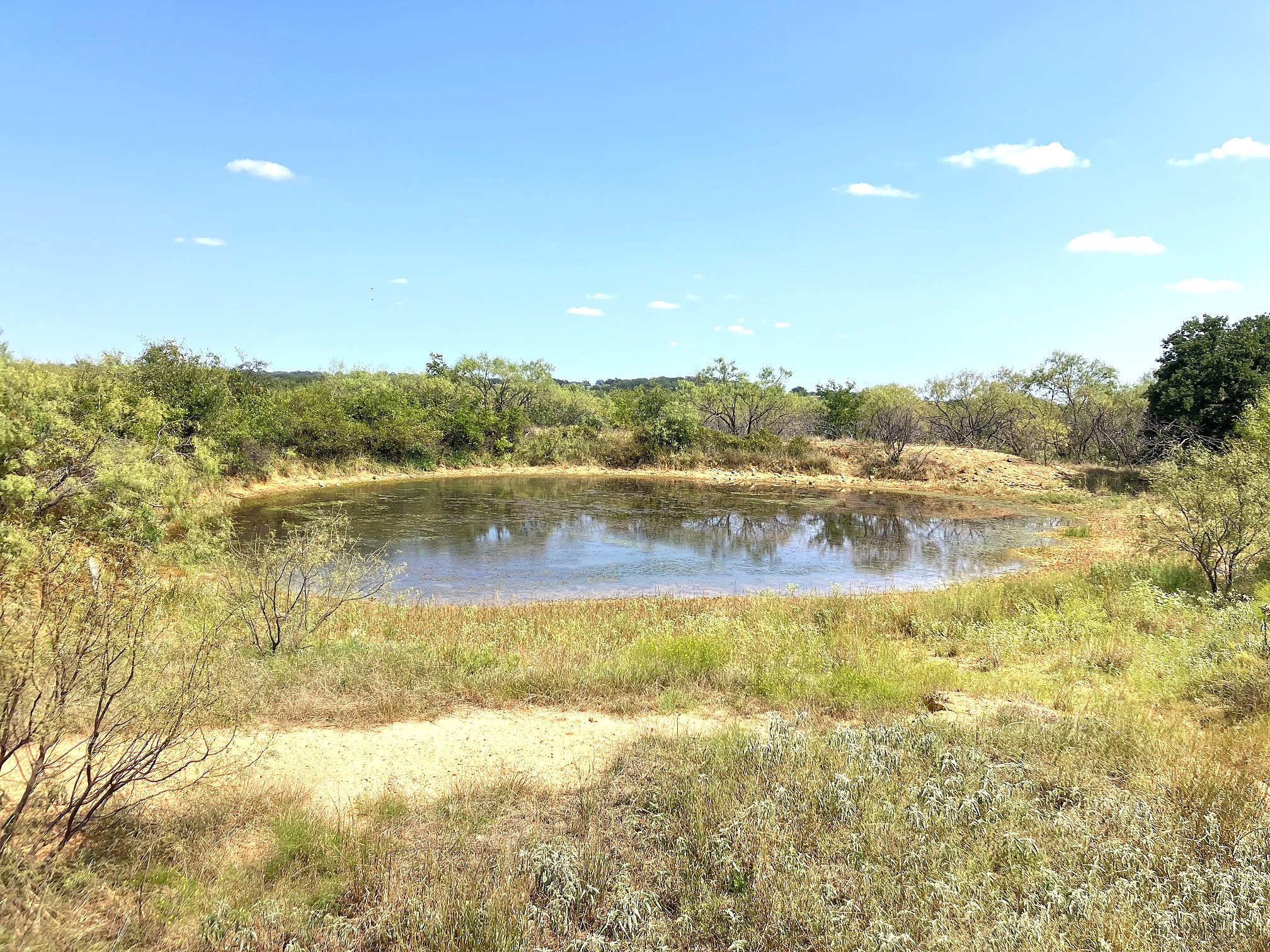 40 Acres Tbd Highway 2247 Comanche TX 76442