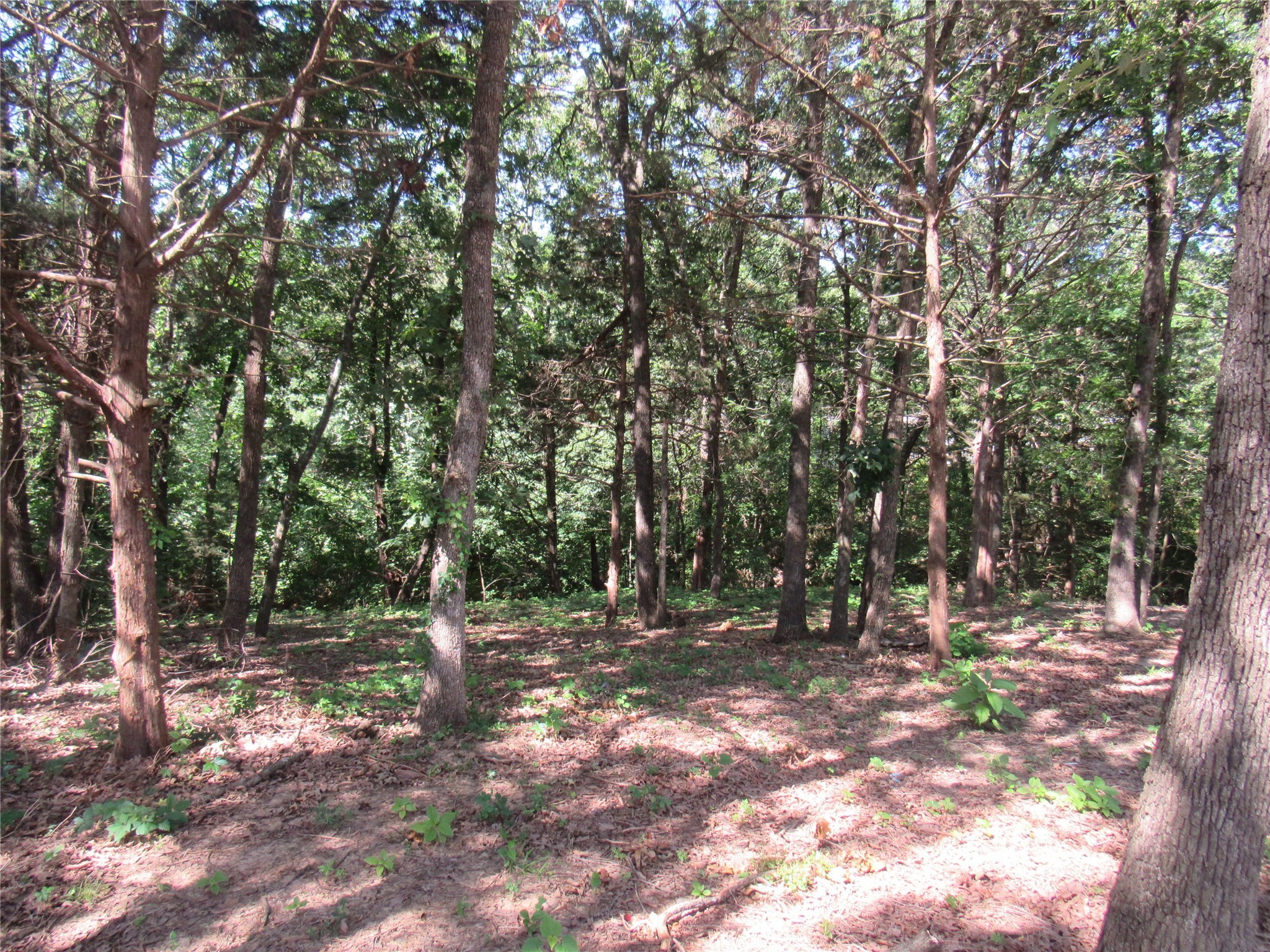 150 Applecross Lane Pottsboro TX 75076