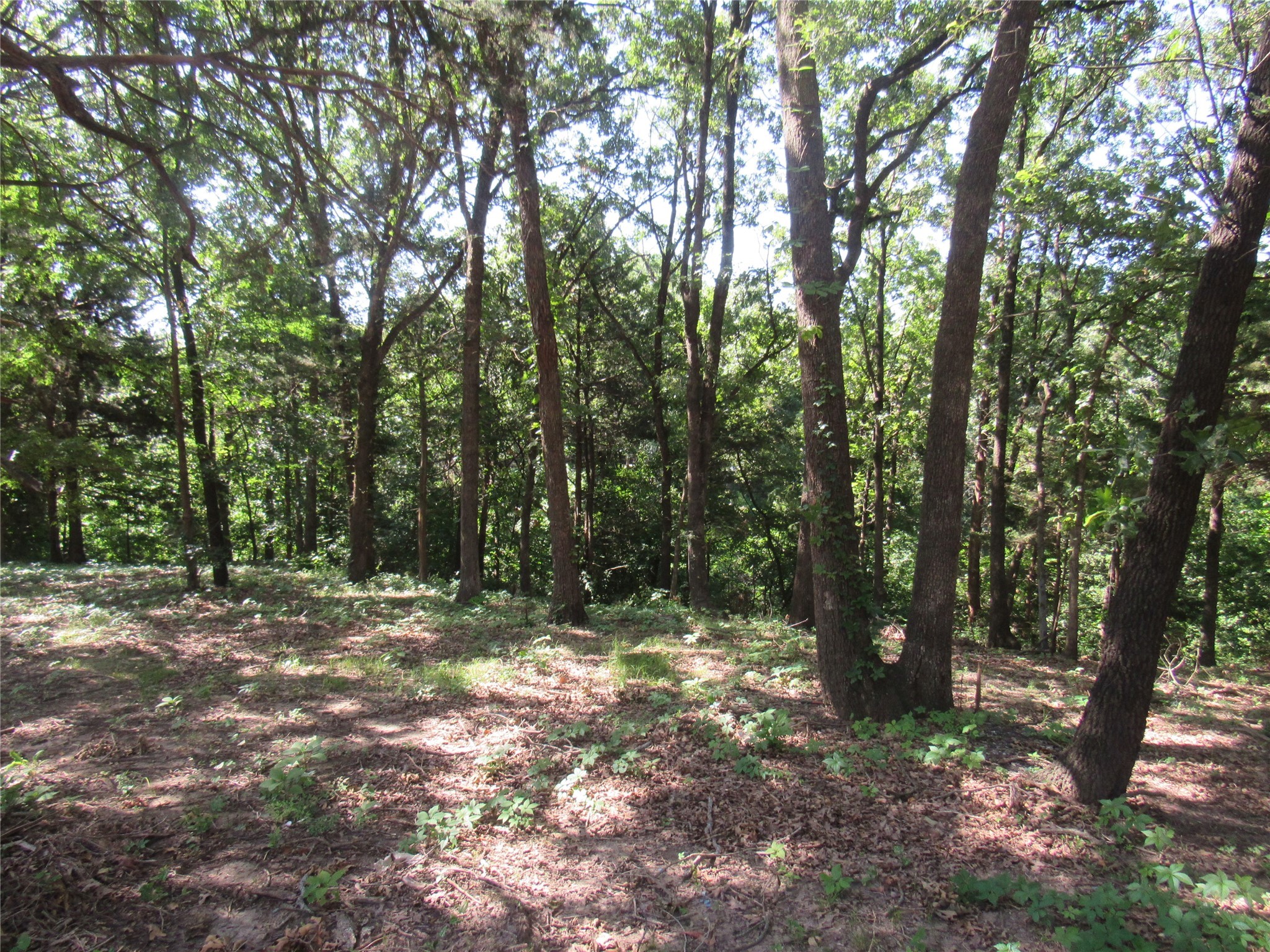 150 Applecross Lane Pottsboro TX 75076