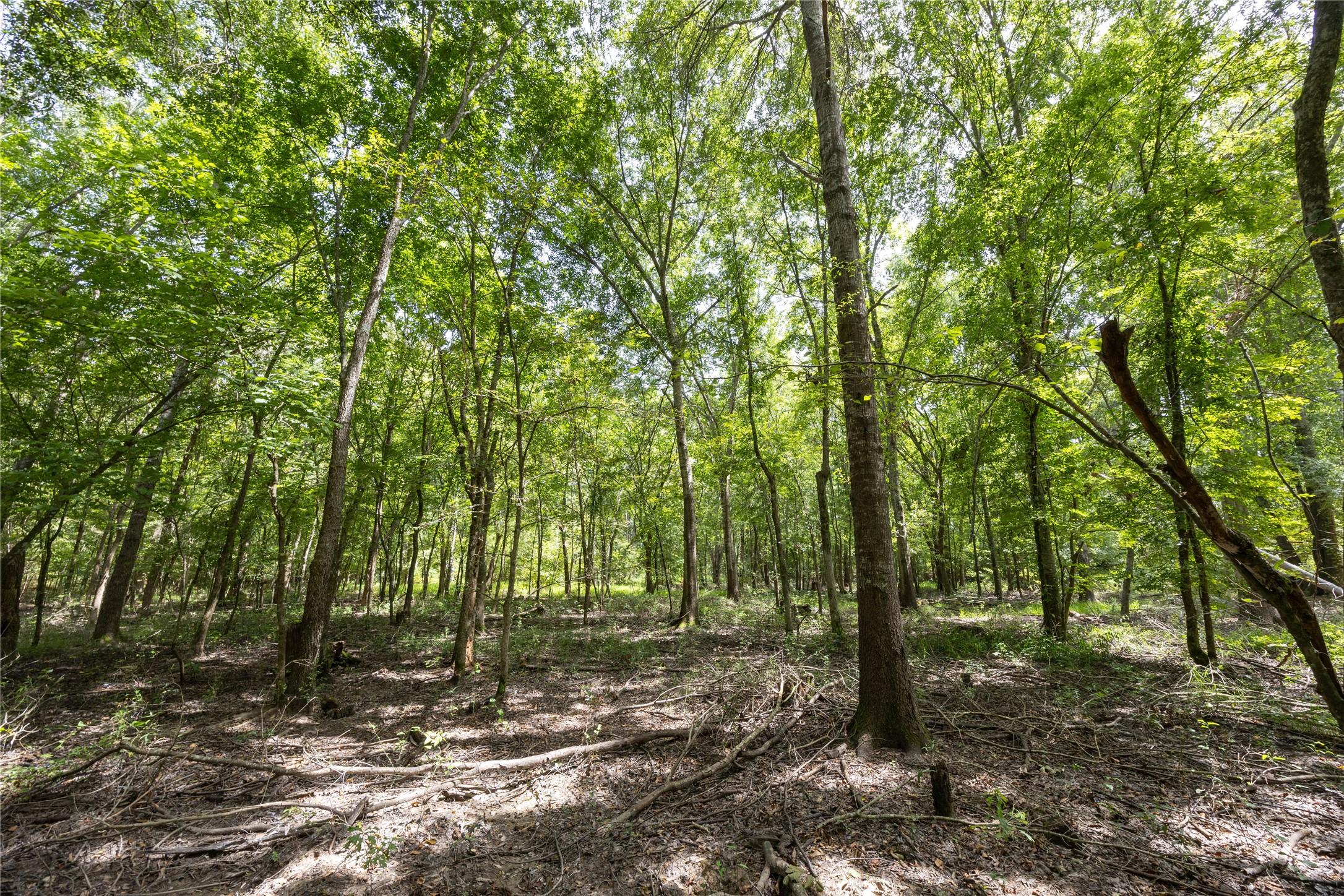 Tract 7 County Road 4221 Frankston TX 75763