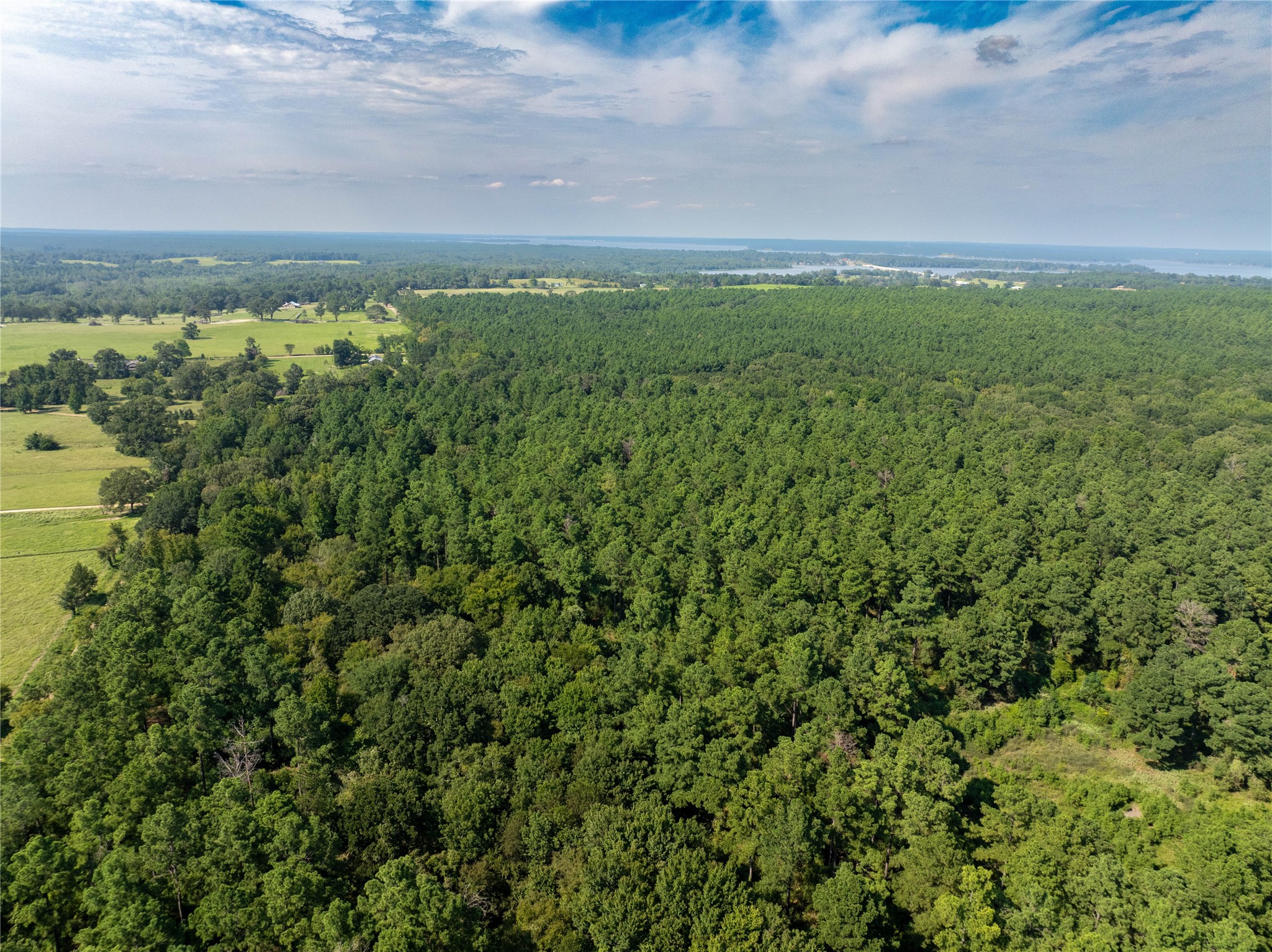 Tract 7 County Road 4221 Frankston TX 75763