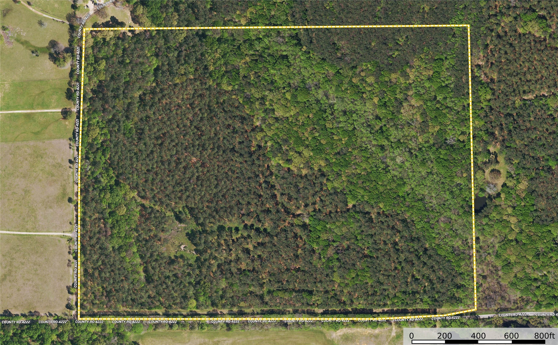Tract 7 County Road 4221 Frankston TX 75763