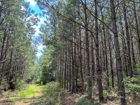 0 County Line Road Livingston TX 77351